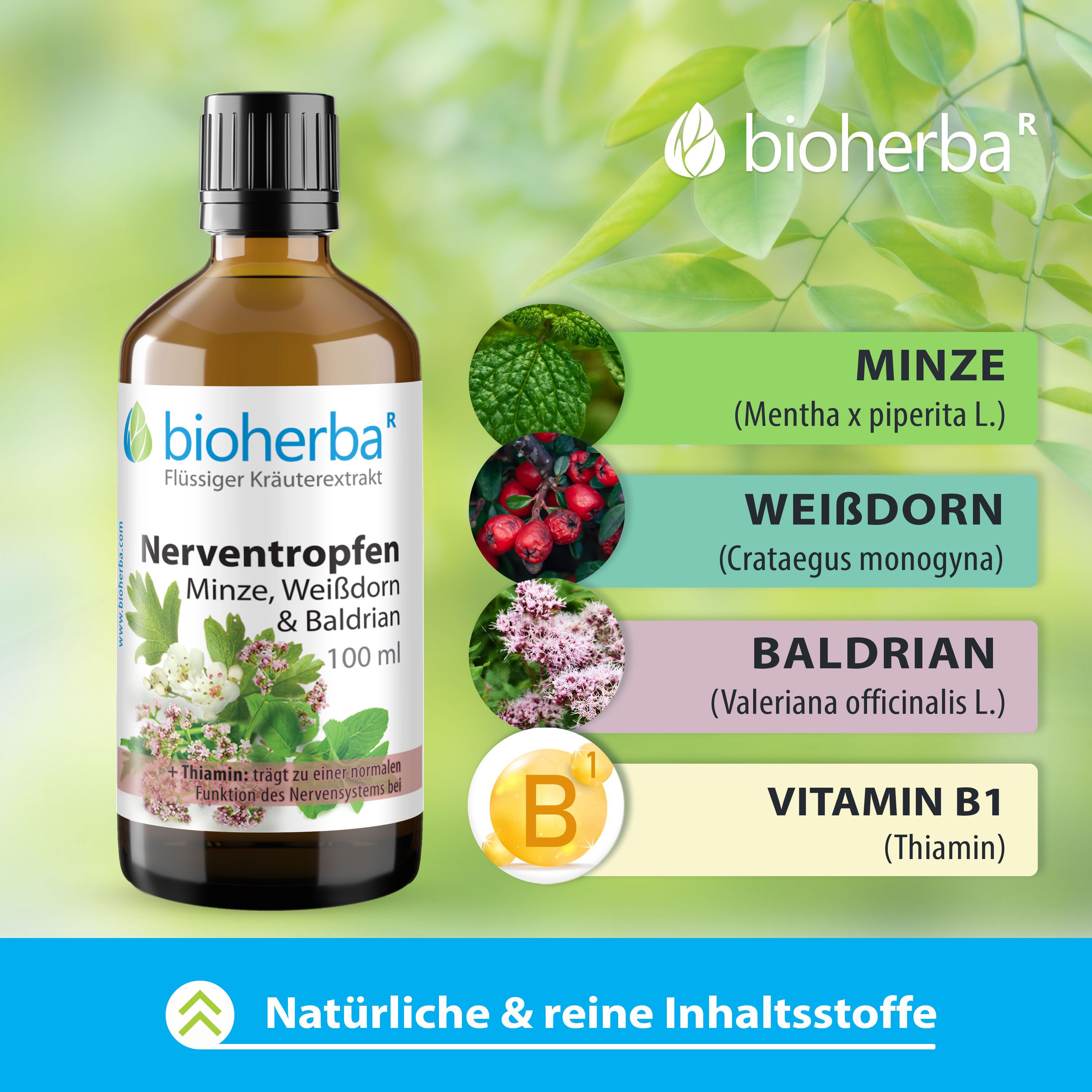 Braune Glasflasche mit schwarzem Deckel. Etikett mit Produktname und Marke: bioherba. Inhaltsstoffe: Minze, Weißdorn, Baldrian, Vitamin B1. 100 ml.