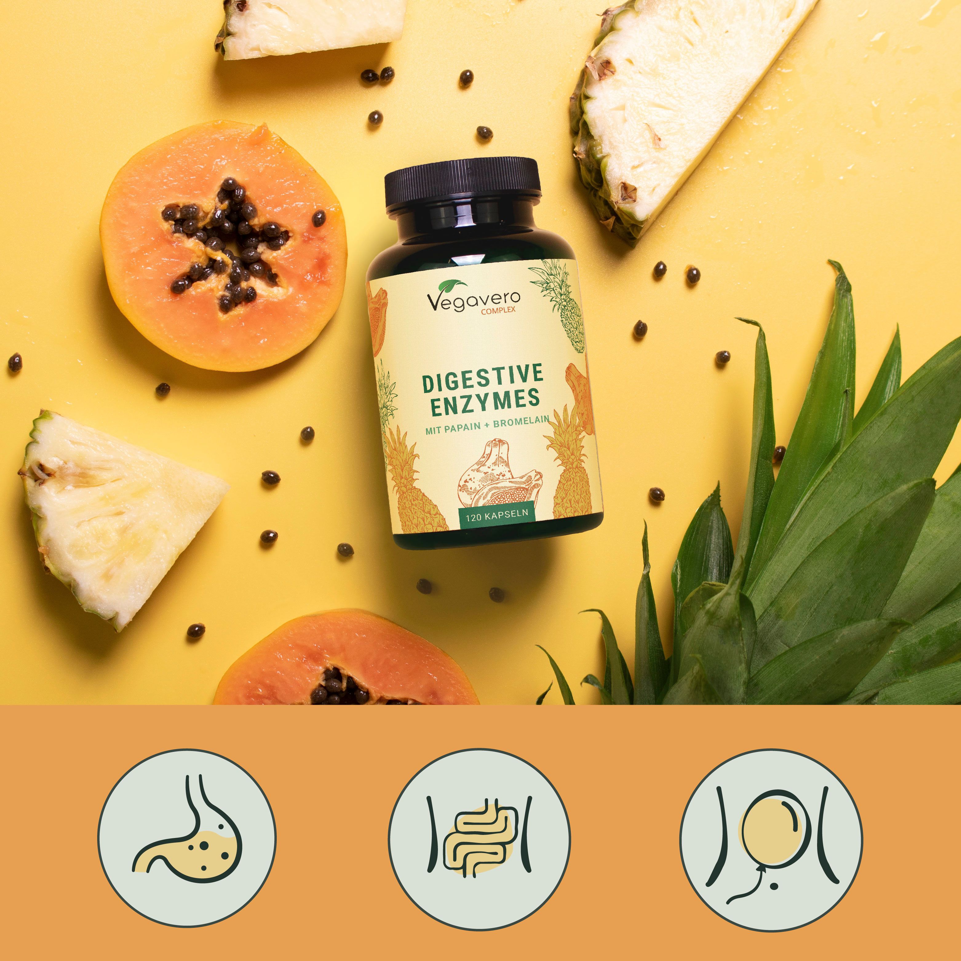 Gelber Hintergrund mit Papaya, Ananas und Kapseln. Flasche mit Digestive Enzymes. Illustrationen von Verdauungsorganen.