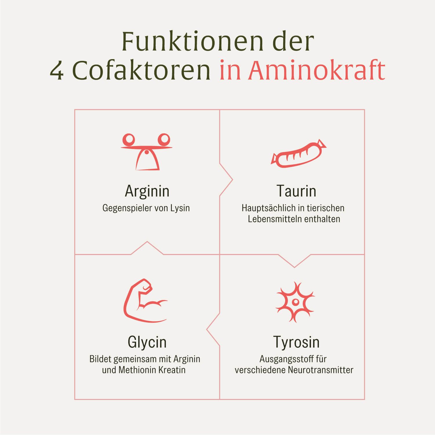Grafik zeigt Funktionen von 4 Cofaktoren: Arginin, Taurin, Glycin, Tyrosin.