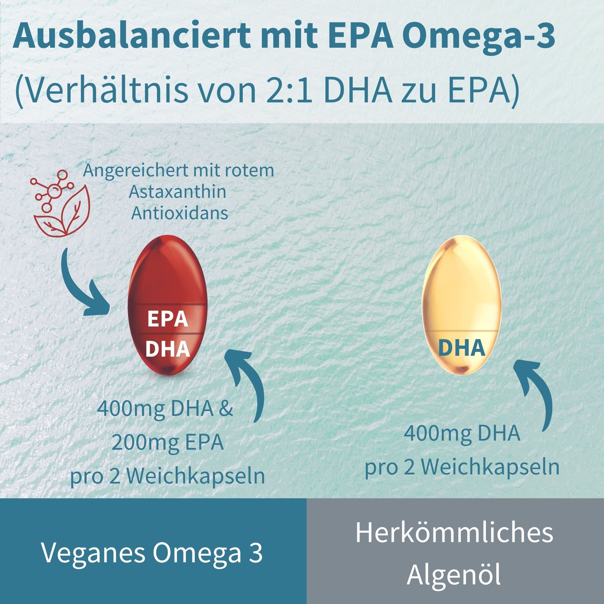 Vergleich von veganem Omega-3 und herkömmlichem Algenöl. Kapseln mit DHA und EPA. Text: Ausbalanciert mit EPA Omega-3 (Verhältnis von 2:1 DHA zu EPA).