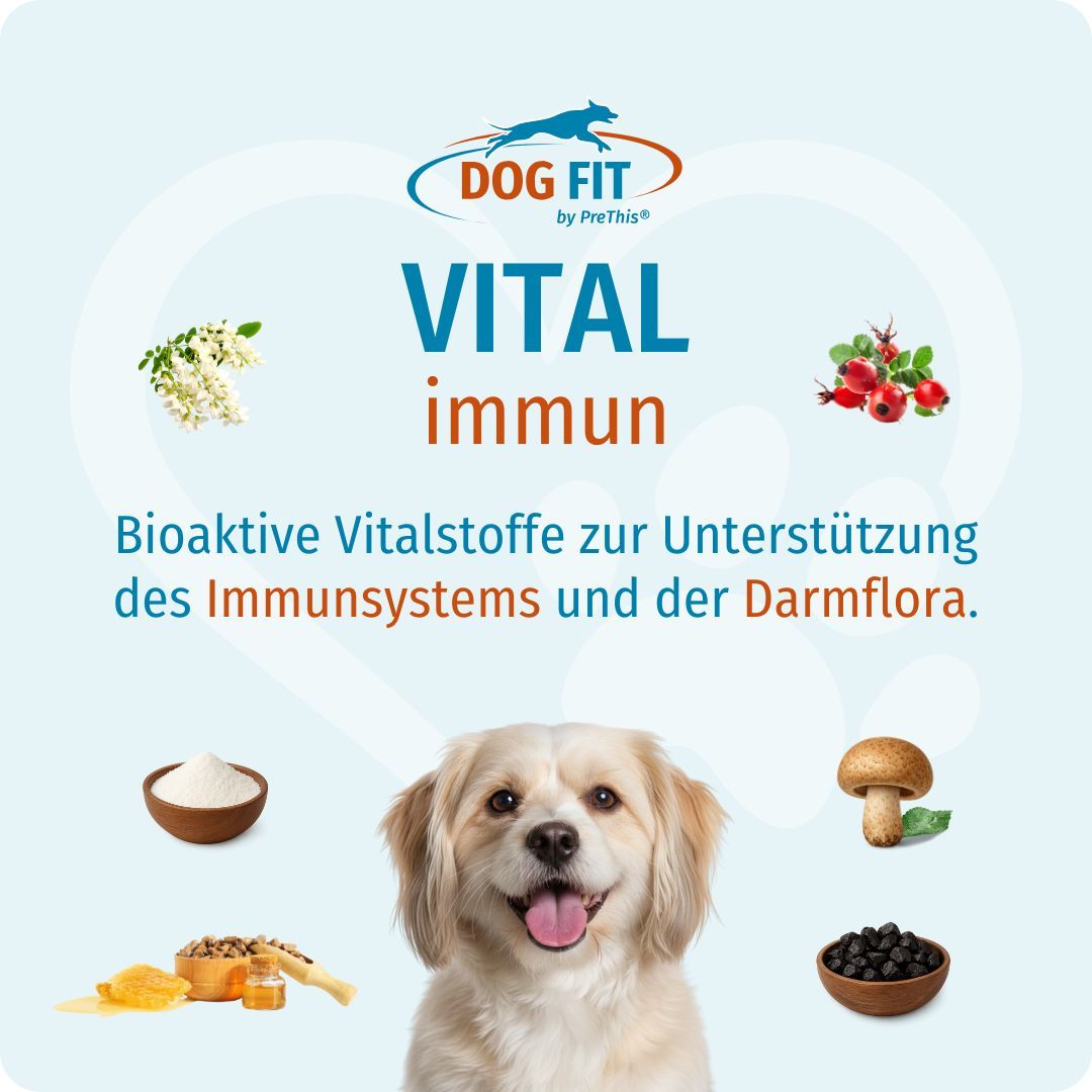 Produktabbildung mit Hund, Zutaten und Text: DOG FIT VITAL immun. Bioaktive Vitalstoffe für Immunsystem und Darmflora.
