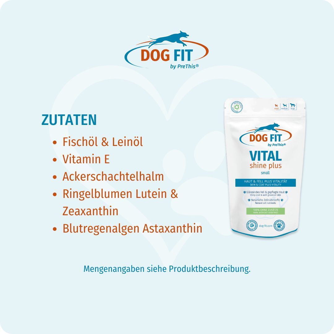 Produktverpackung DOG FIT VITAL shine plus small. Zutaten: Fischöl & Leinöl, Vitamin E, Ackerschachtelhalm, Ringelblumen Lutein & Zeaxanthin, Blutregenalgen Astaxanthin.