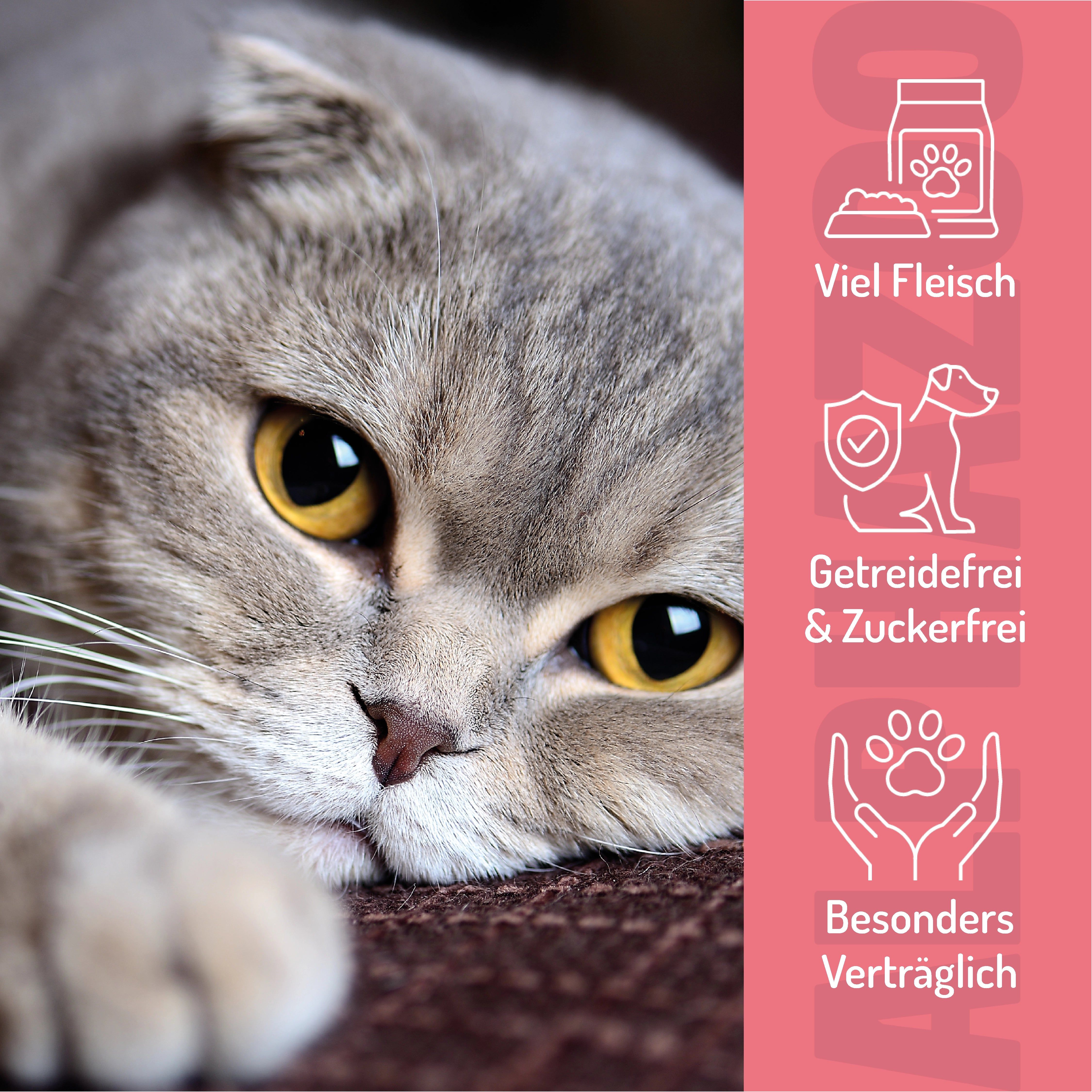 Katzenkopf mit gelben Augen. Icons: Viel Fleisch, getreidefrei & zuckerfrei, besonders verträglich.