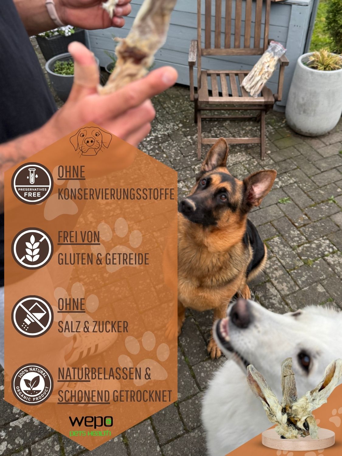 Person hält getrocknete Hasenohren. Text: Ohne Konservierungsstoffe, frei von Gluten & Getreide, ohne Salz & Zucker.