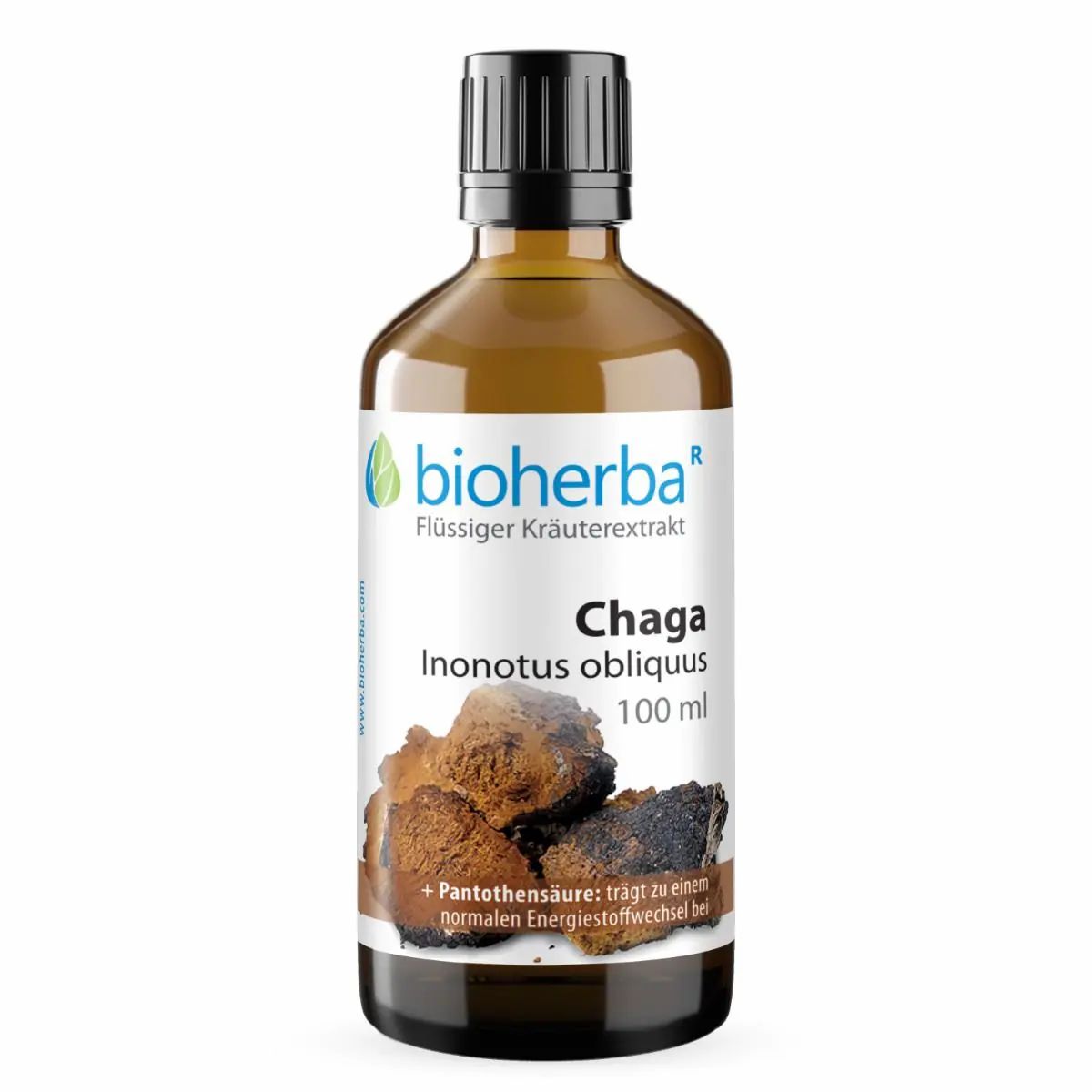 Braune Glasflasche mit schwarzem Deckel. Etikett: bioherba, Chaga Inonotus obliquus, 100 ml. Produktabbildung.