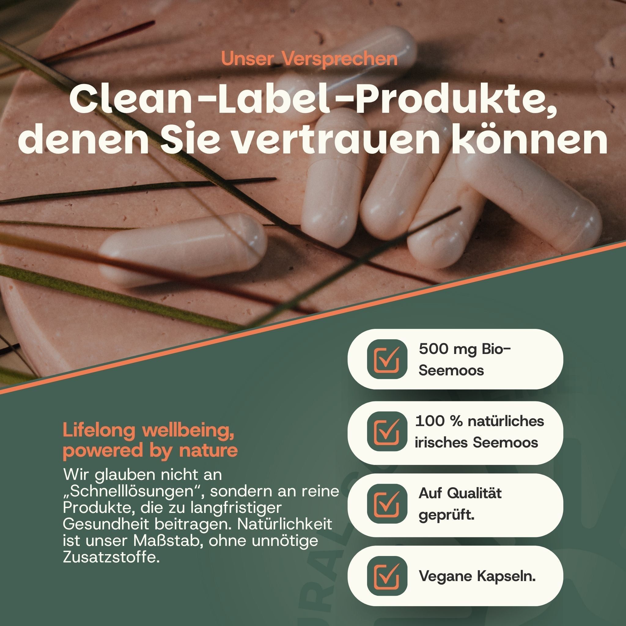 Fünf Kapseln mit 500 mg Bio-Seemoos, 100% natürlich, auf Qualität geprüft, vegane Kapseln.