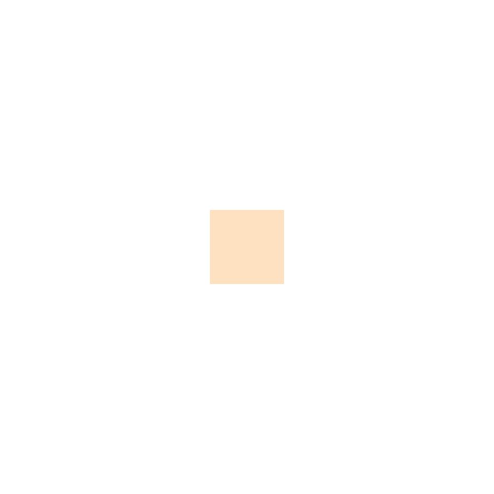 Essence - Foundation Stick