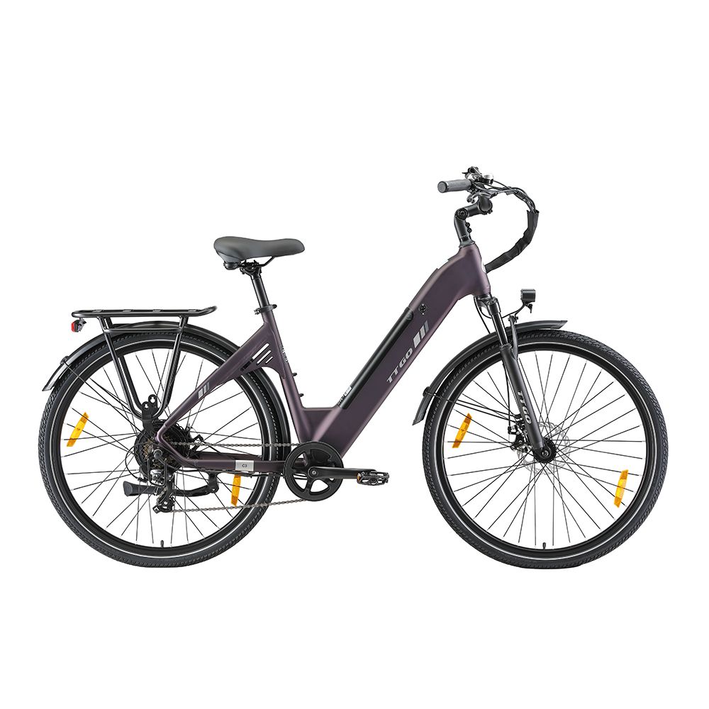 Dunkelviolettes Elektrofahrrad mit Gepäckträger, Schutzblechen und Beleuchtung. Schwarze Reifen und Sattel. TTGO-Logo.