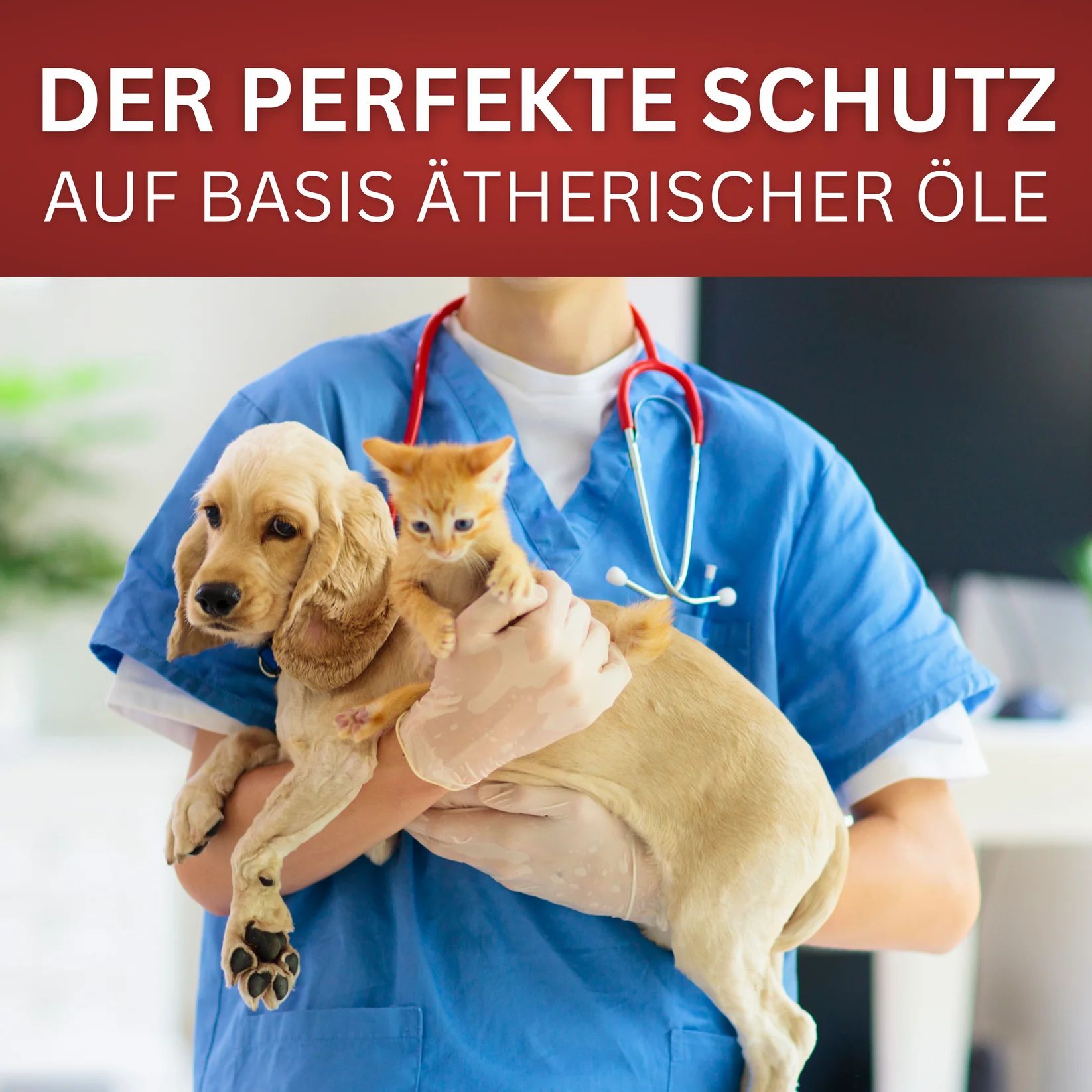 Tierarzt hält Hund und Katze. Text: Der perfekte Schutz auf Basis ätherischer Öle.