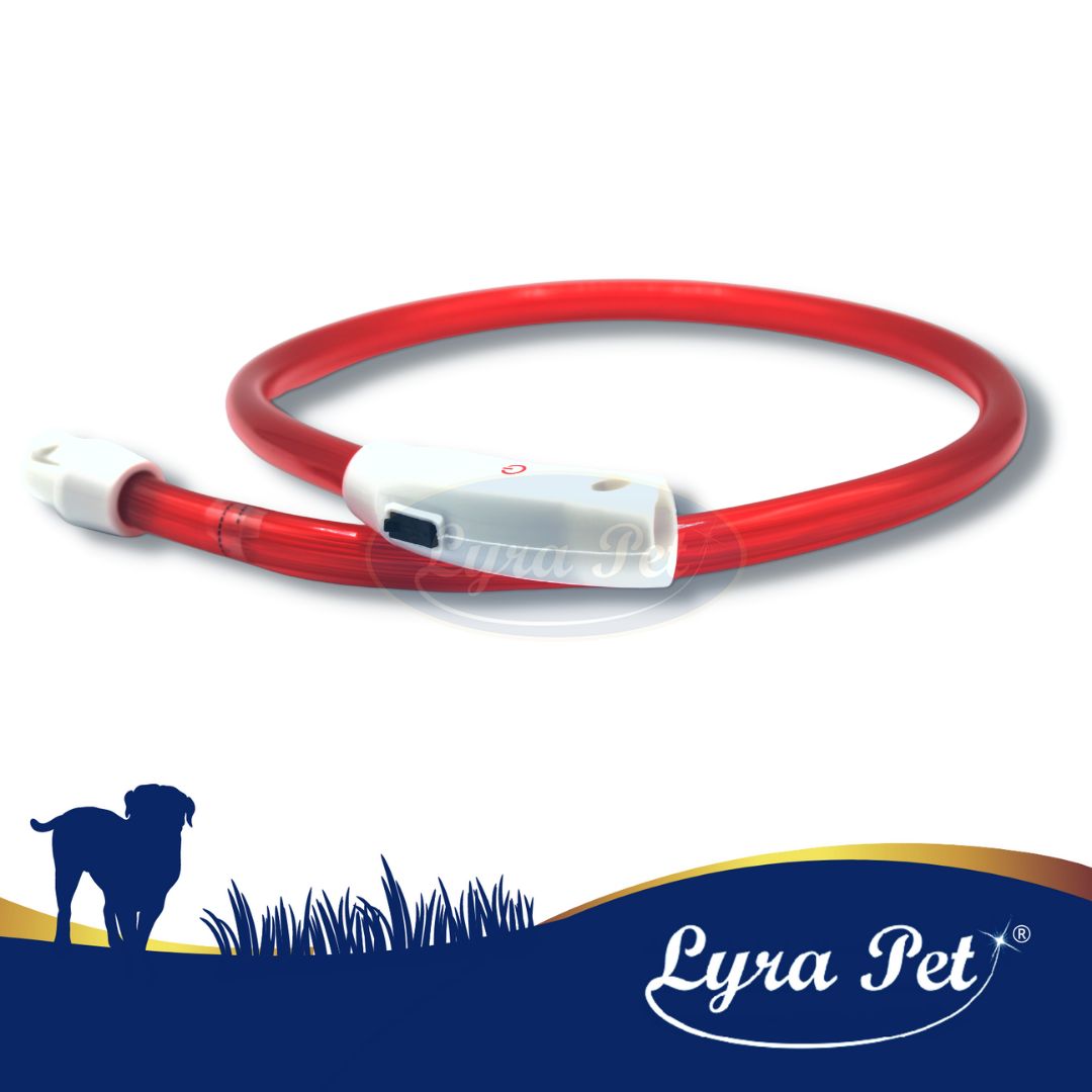 Lyra Pet® LED Halsband 70 cm rot