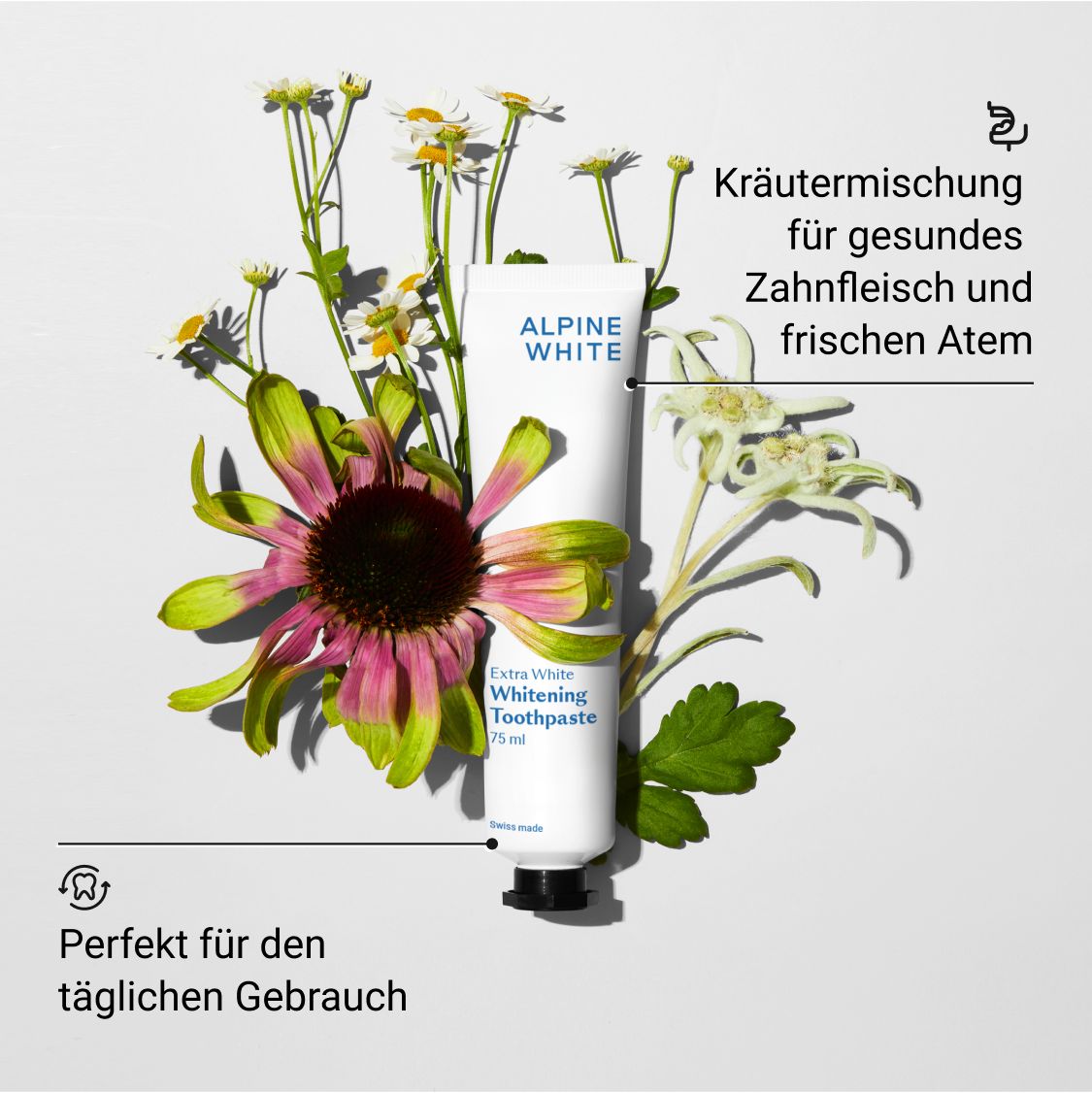 Zahnpasta-Tube mit Blumen. Text: Kräutermischung für gesundes Zahnfleisch und frischen Atem.