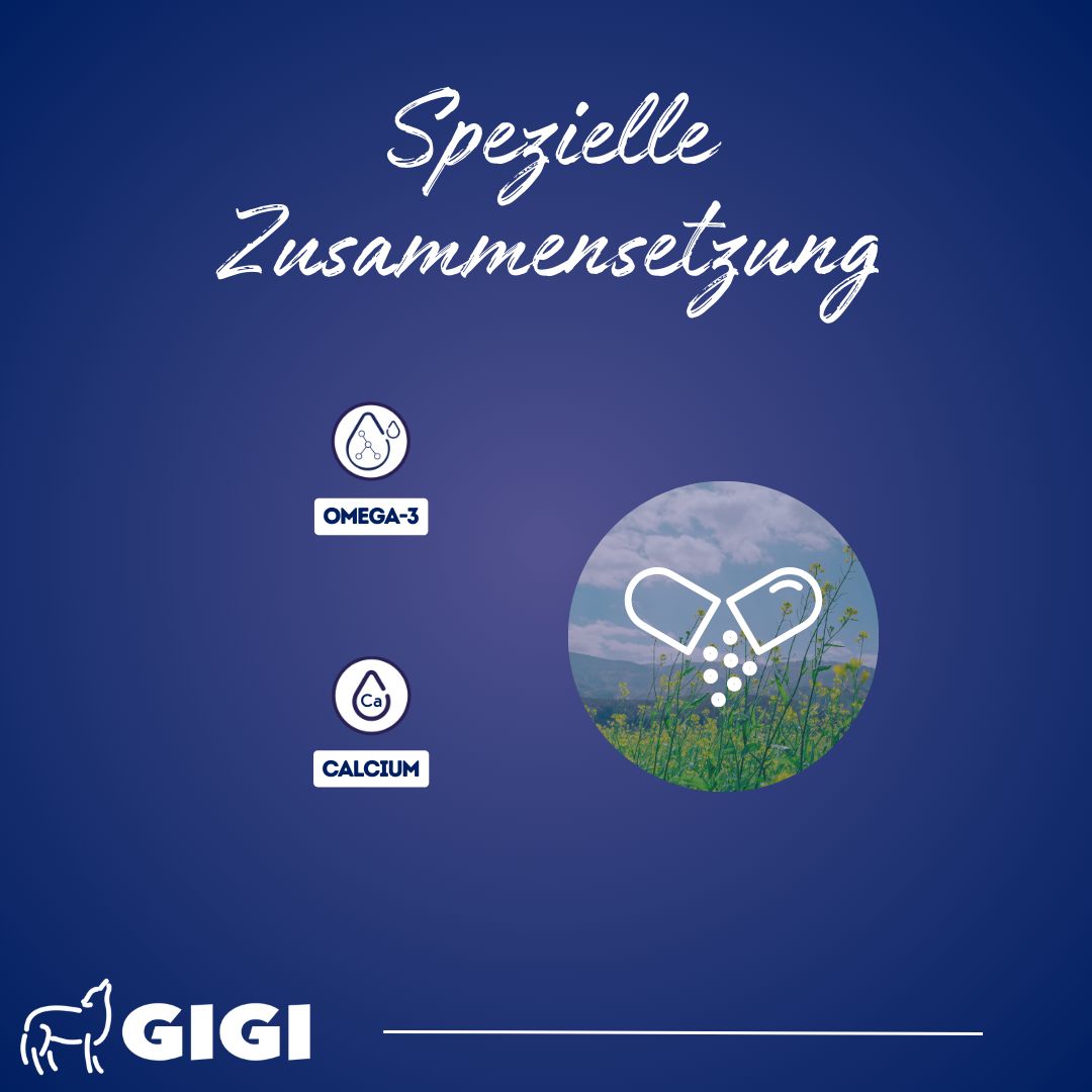 Grafik mit Omega-3 und Calcium-Symbolen. Text: SPEZIELLE ZUSAMMENSETZUNG. Kapsel-Illustration. Marke: GIGI.
