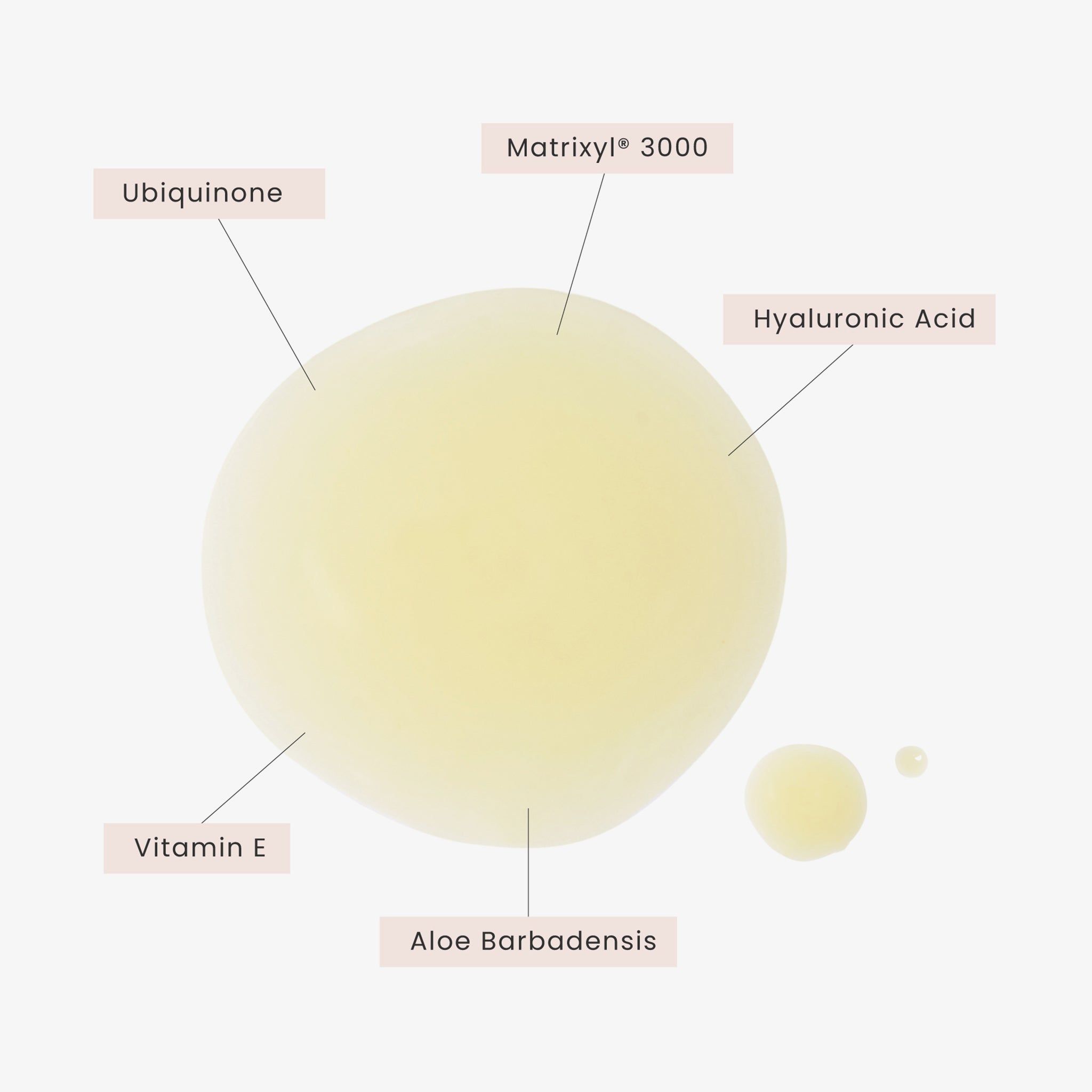 Timeless Coenzyme Q10 Serum