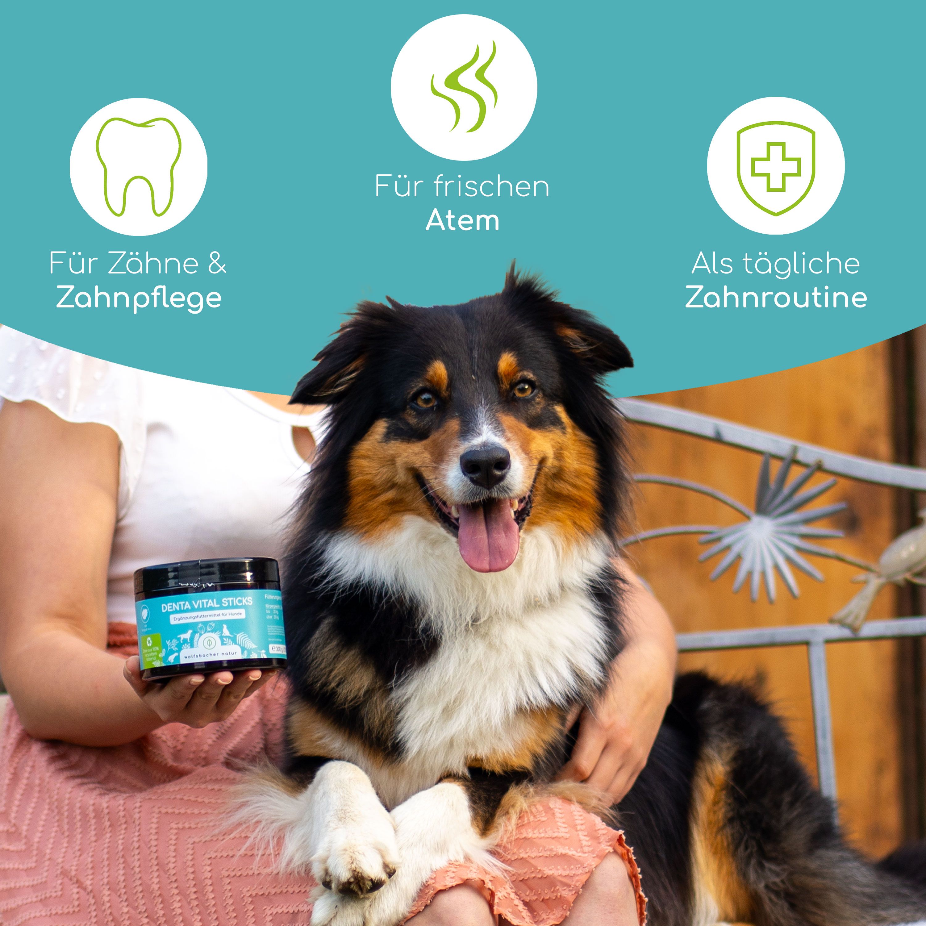 Eine Frau hält eine Dose "Denta Vital Sticks" für Hunde, neben einem Hund. Text: Für Zähne & Zahnpflege, Für frischen Atem, Als tägliche Zahnroutine.