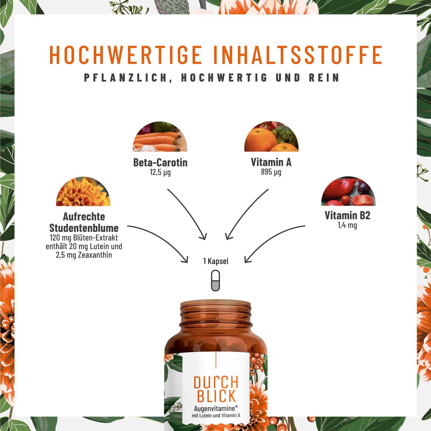 Schema der Inhaltsstoffe von Augenvitamine: Beta-Carotin, Vitamin A, B2, Studentenblumen-Extrakt mit Lutein und Zeaxanthin.