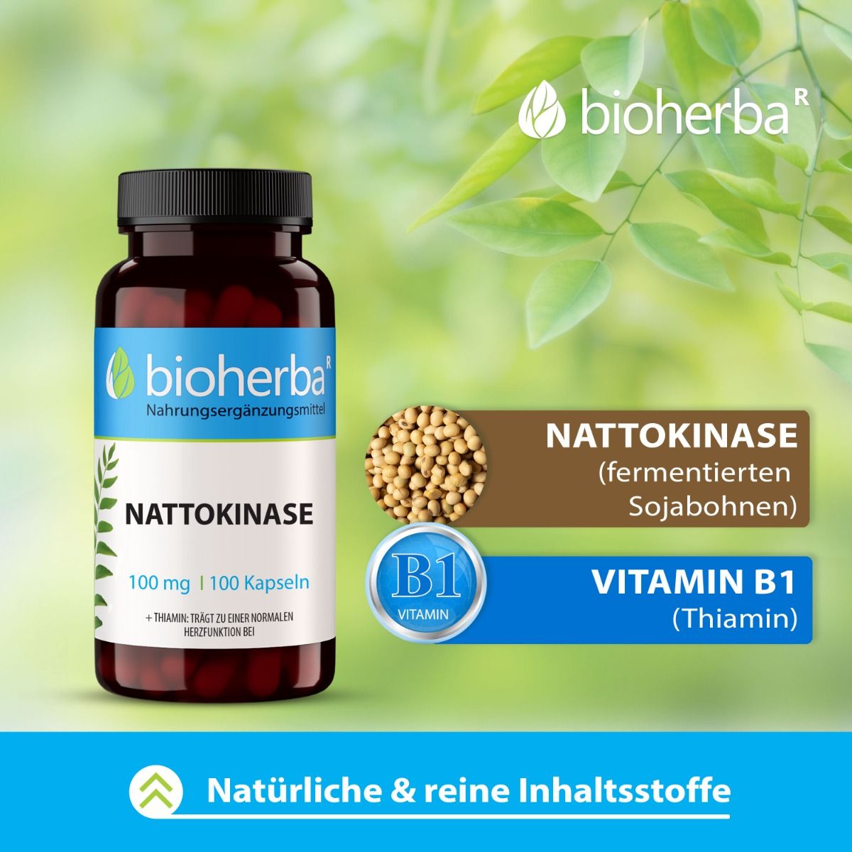 Braune Flasche mit schwarzen Deckel. Enthält Nattokinase, 100 Kapseln, 100 mg. Marke: Bioherba.