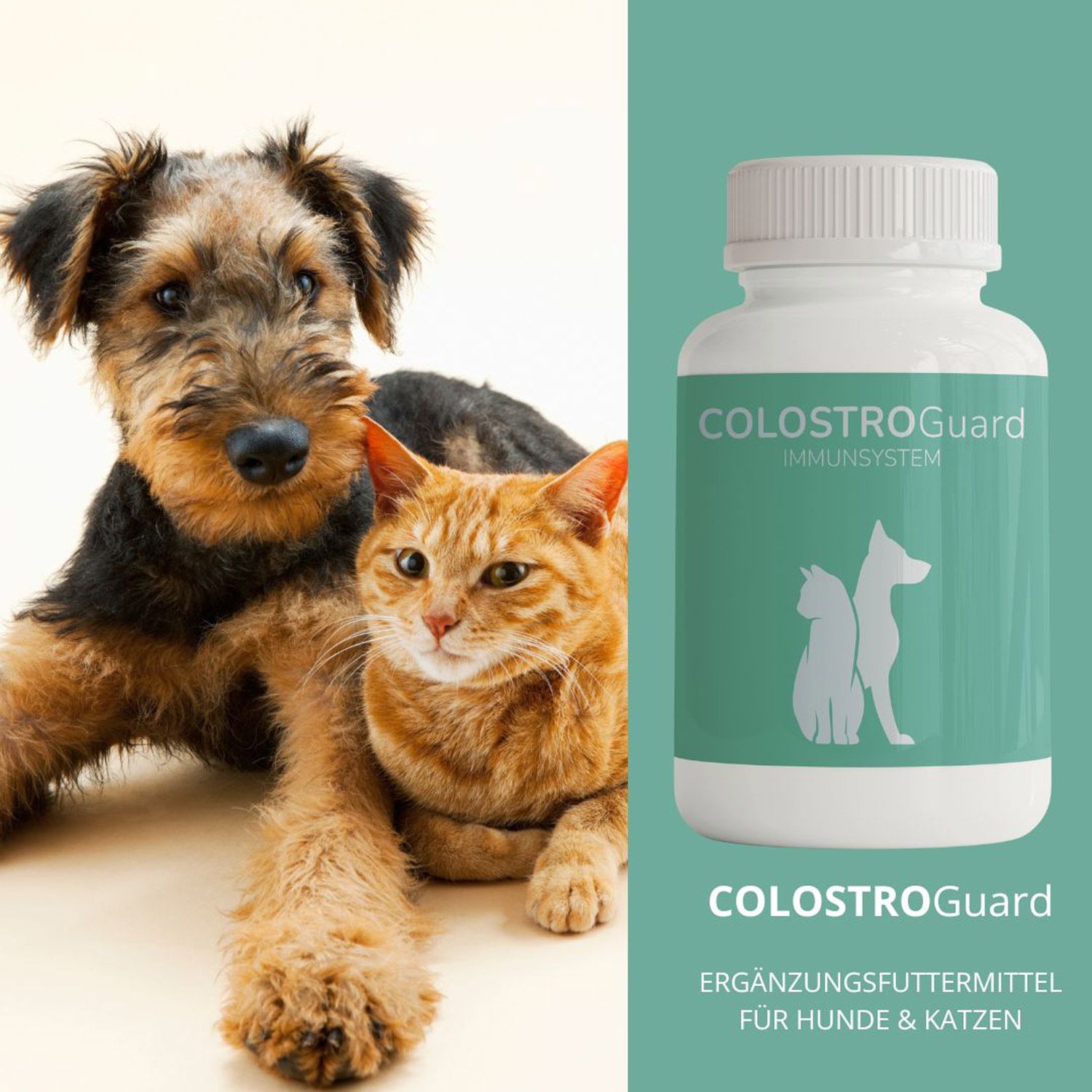 Ein Hund und eine Katze sitzen nebeneinander. Rechts daneben eine weiße Flasche mit grünem Etikett: COLOSTROGuard IMMUNSYSTEM.