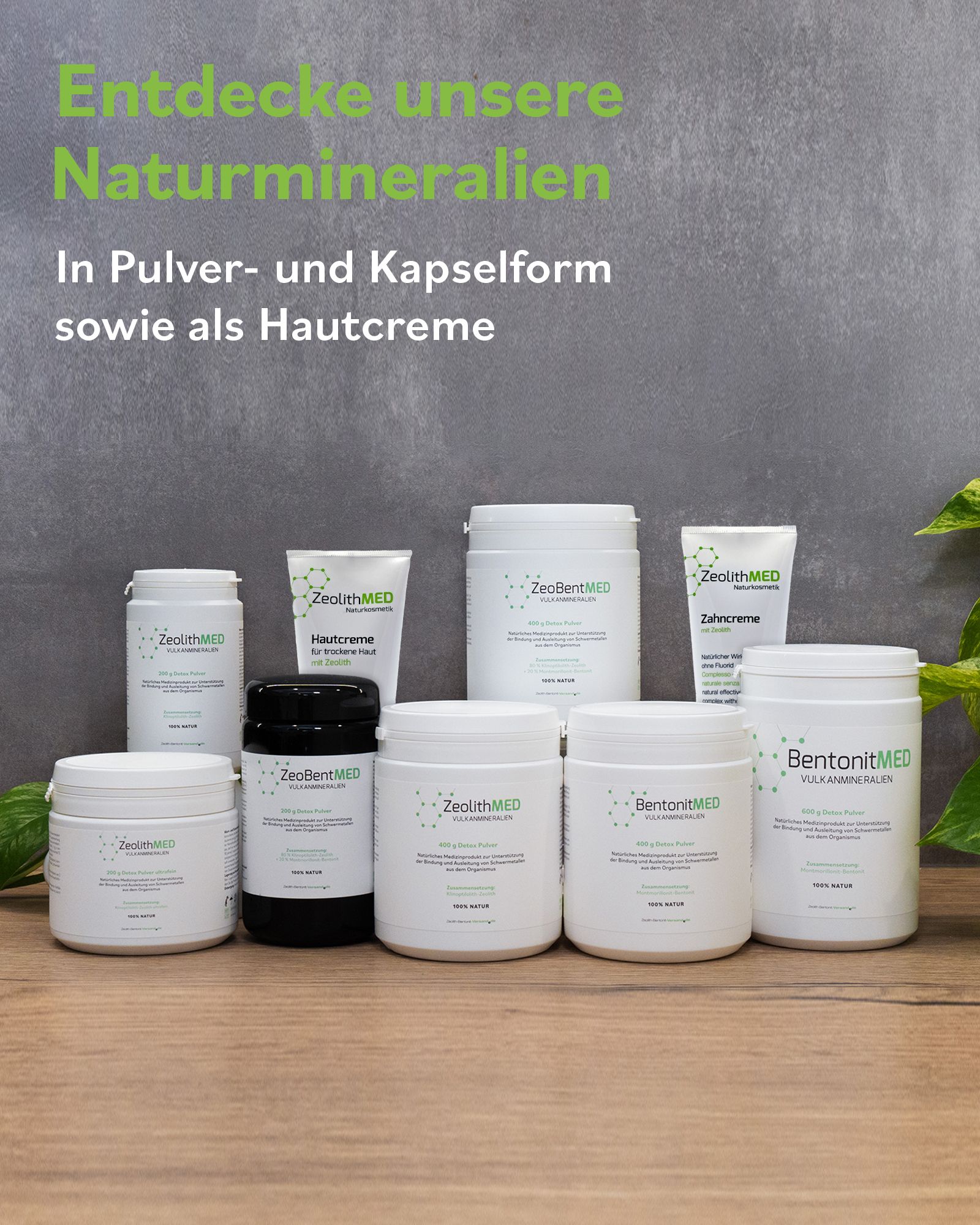 Verschiedene Behälter mit Produkten. Text: Entdecke unsere Naturmineralien. In Pulver- und Kapselform sowie als Hautcreme.