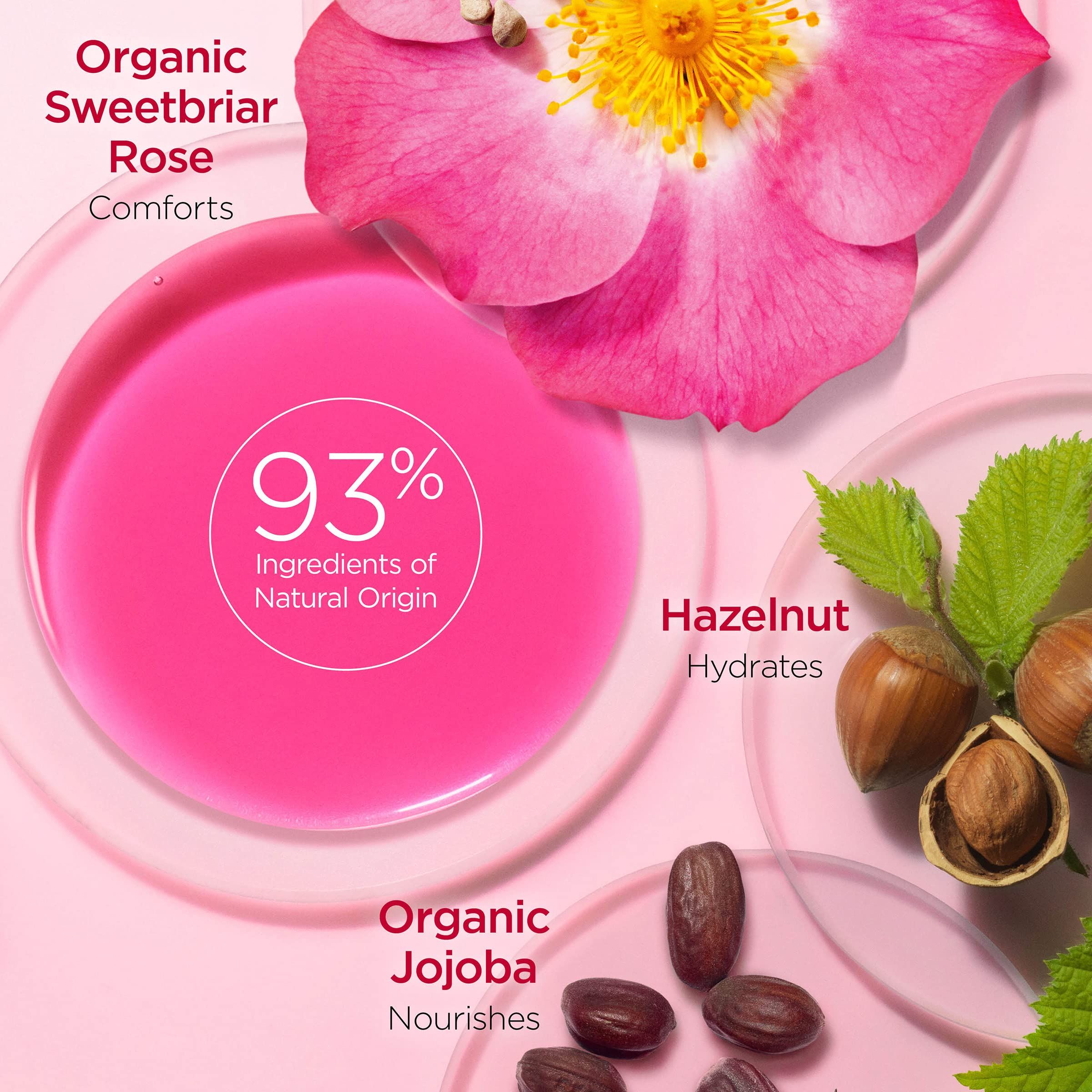Lippenöl mit Rosenblüte, Haselnüssen und Jojobasamen. 93% natürliche Inhaltsstoffe.