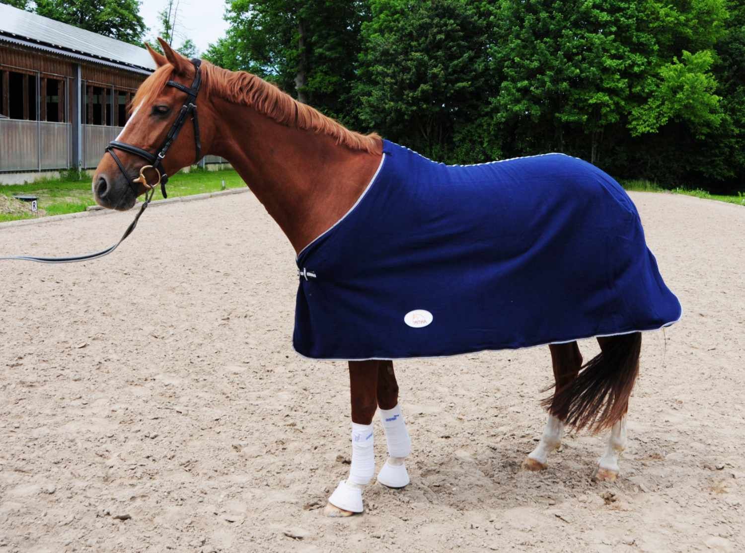 Pferd mit blauer AMKA Fleecedecke. Weißer Rand, silberner Verschluss. Steht auf Sandboden.