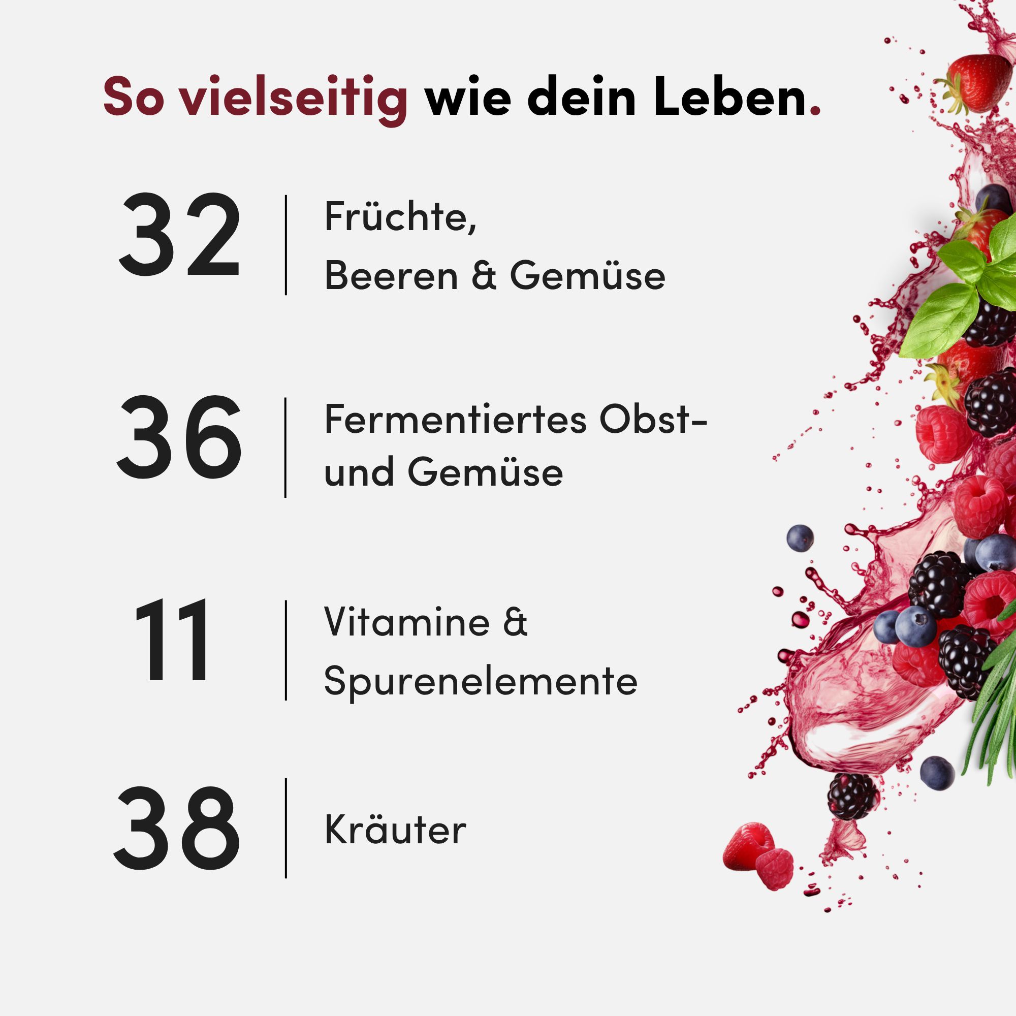 Zutatenübersicht: 32 Früchte, Beeren & Gemüse, 36 fermentiertes Obst- und Gemüse, 11 Vitamine & Spurenelemente, 38 Kräuter.