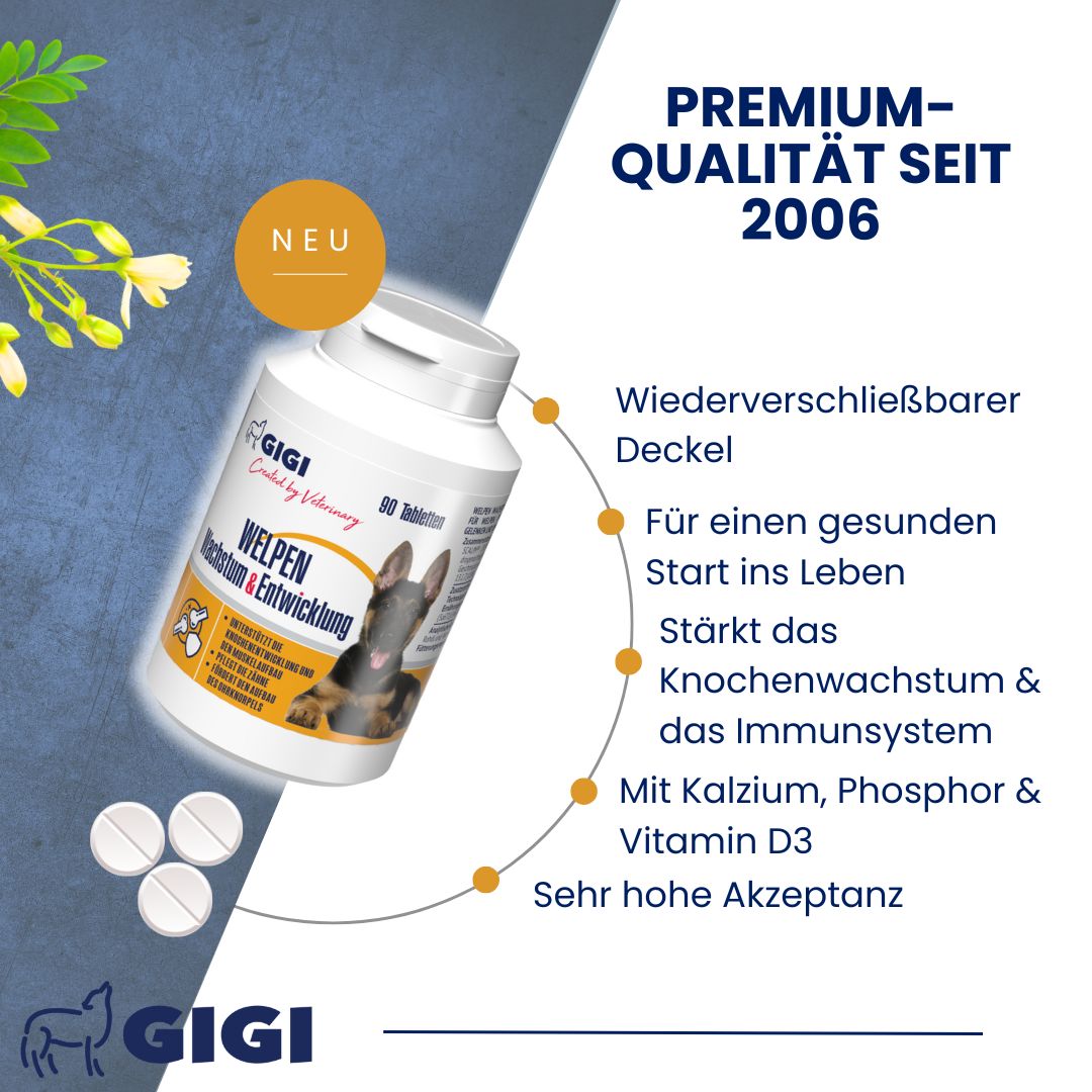 Weiße Tabletten-Dose mit Aufschrift GIGI VET Welpen Wachstum & Entwicklung. Enthält 90 Tabletten. Text: Premium-Qualität seit 2006.