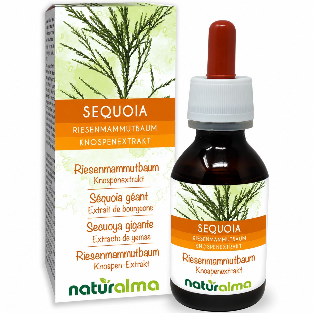 Flasche und Karton mit Sequoia-Knospenextrakt, 50 ml.