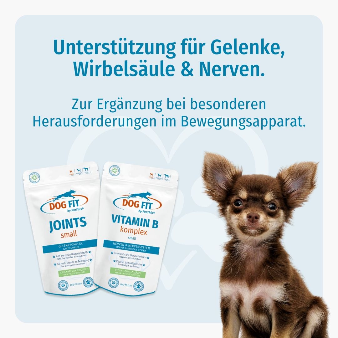 DOG FIT by PreThis® JOINTS & VITAMIN B Kombiset (small)