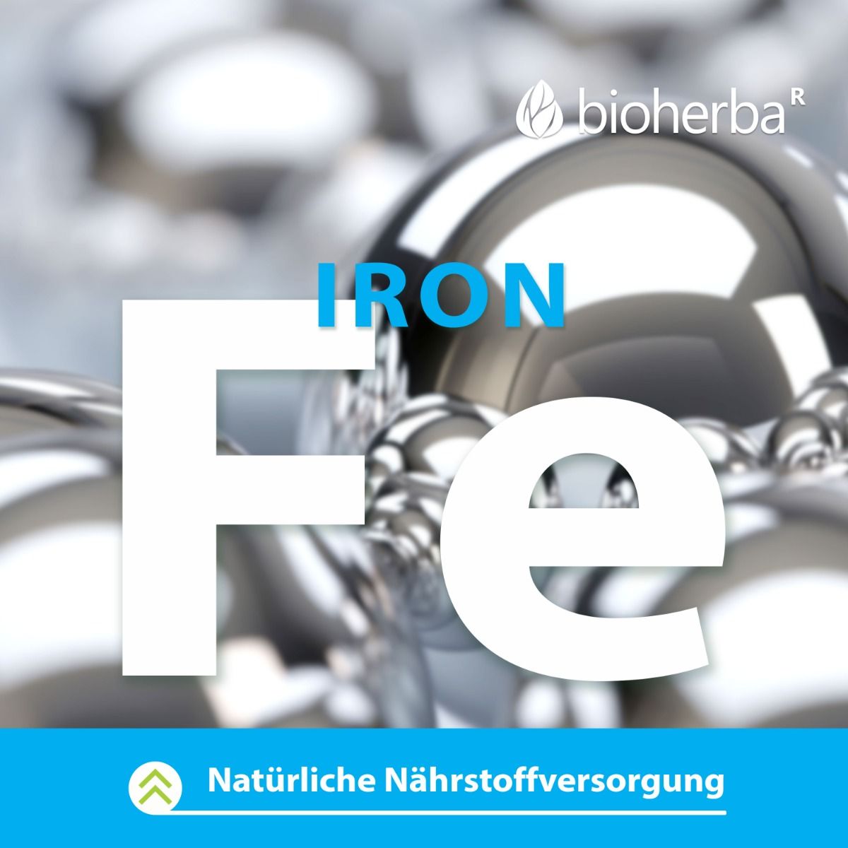 Grafik mit dem Element Eisen (Fe). Natürliche Nährstoffversorgung. Bioherba Logo.