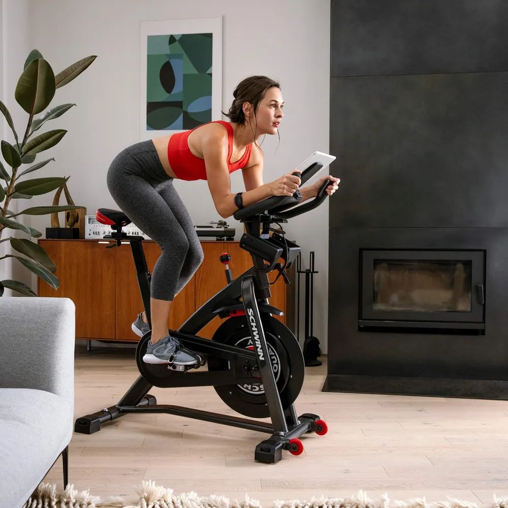 Schwinn Fitness 800IC