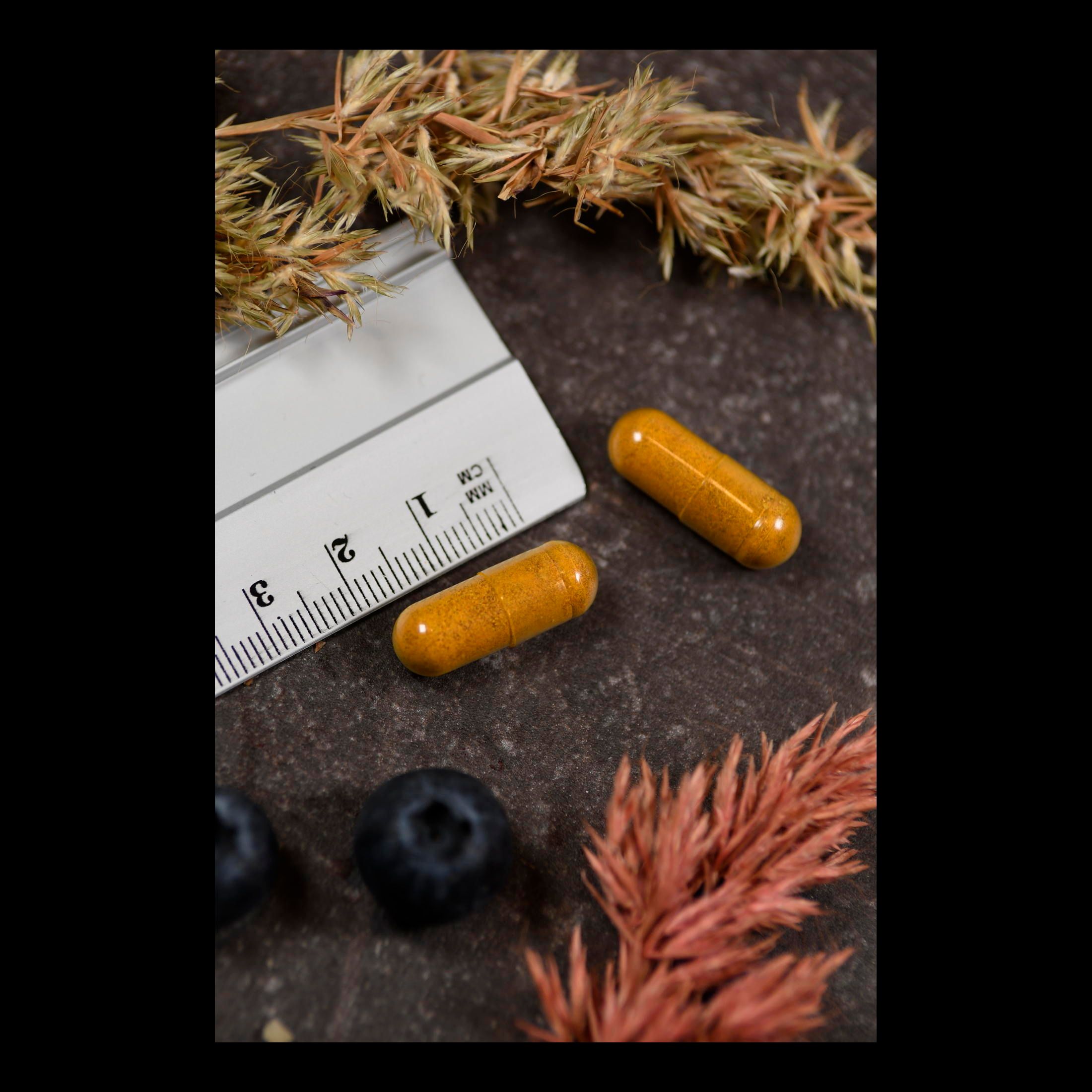 Zwei gelbe Kapseln neben einem Lineal und Blaubeeren. Hintergrund: dunkle Oberfläche mit Pflanzen.