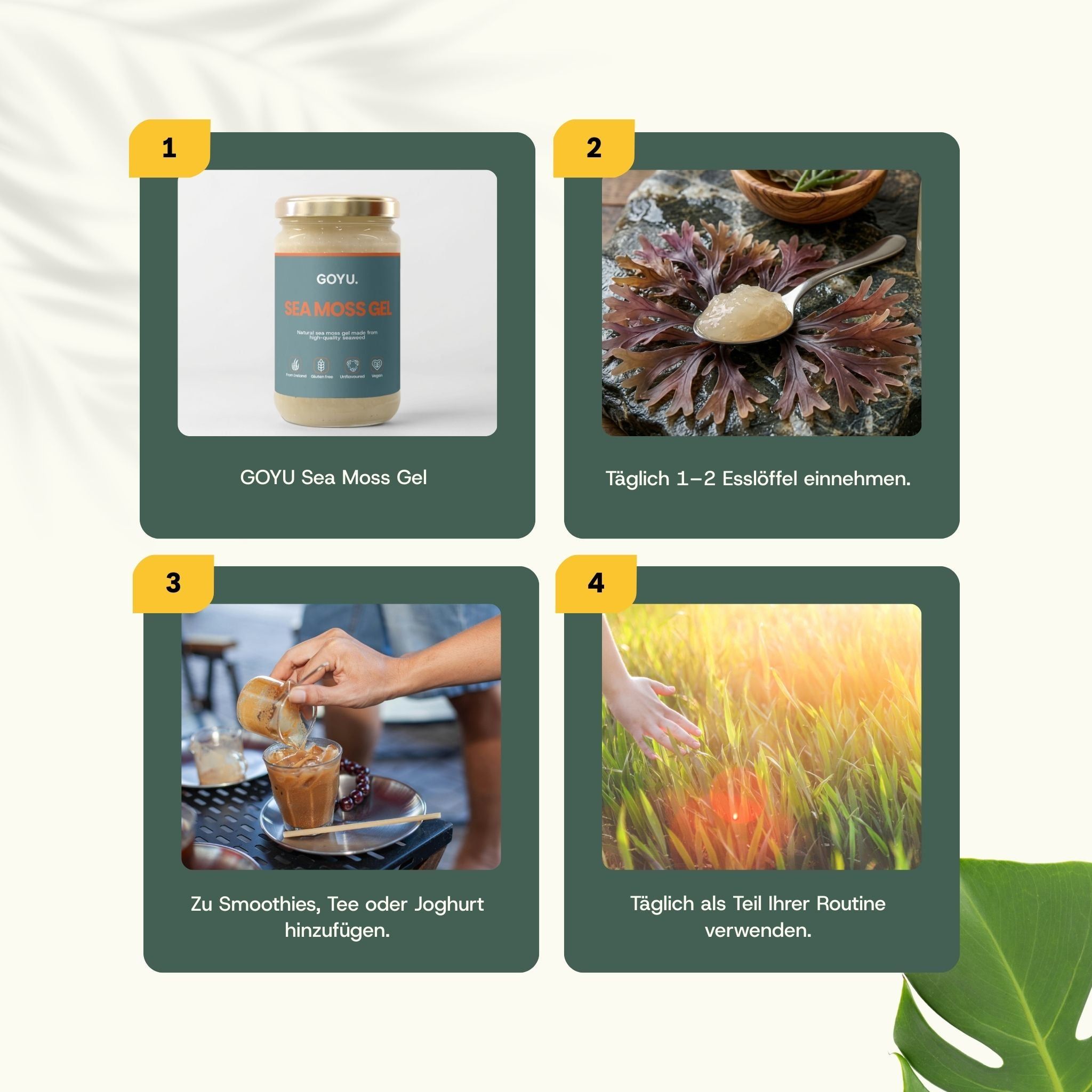 Vier Bilder. 1: GOYU Sea Moss Gel. 2: Löffel mit Gel. 3: Gel in Getränk. 4: Gel auf Gras. Text: Täglich 1-2 Esslöffel einnehmen.