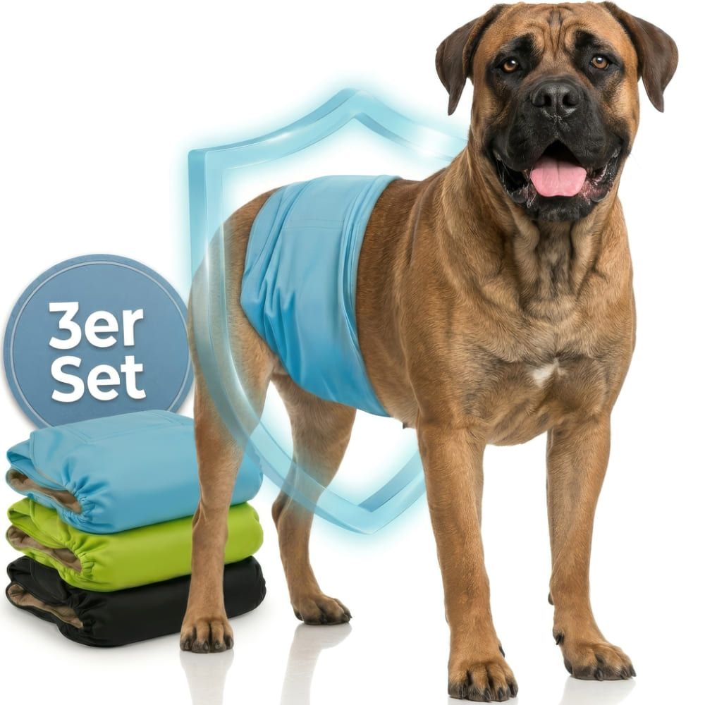 Hundewindeln für Rüden, blau, grün und schwarz. 3er Set. Ein Hund trägt eine blaue Windel.