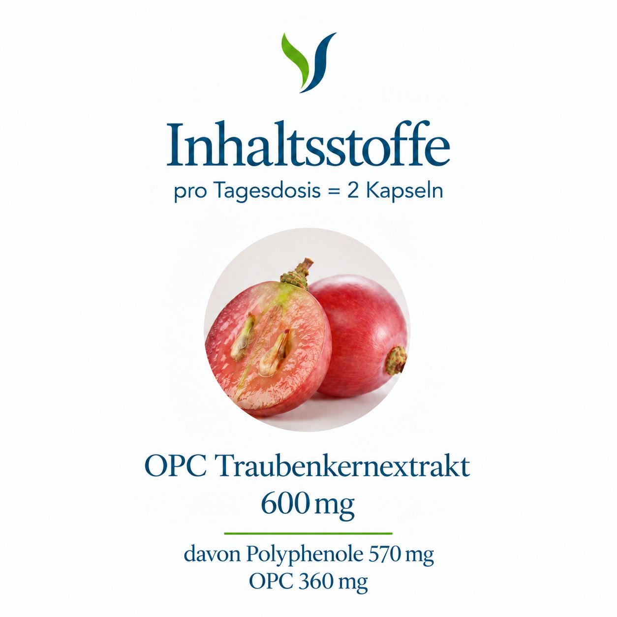Vitalsee OPC Traubenkernextrakt: Weintrauben und Nährwertangaben pro Tagesdosis.