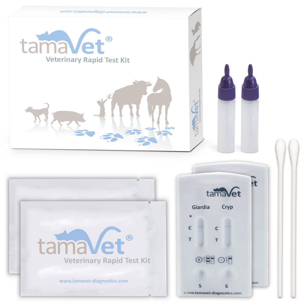 tamaVet Giardien und Cryptosporidium parvum Schnelltest für Hunde und Katzen