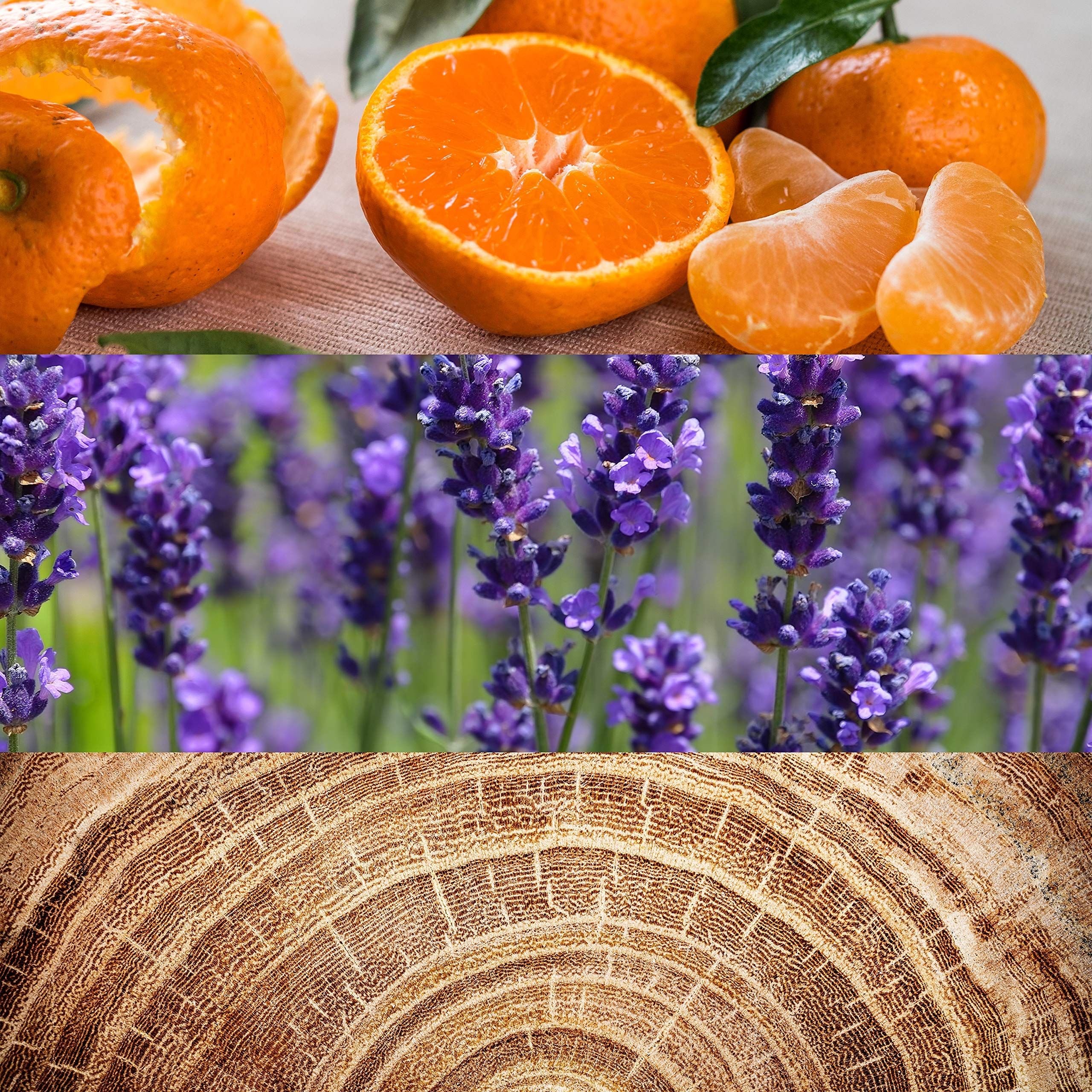 Drei horizontale Streifen: Orangen, Lavendelblüten und Holzmaserung. Natürliche Elemente.