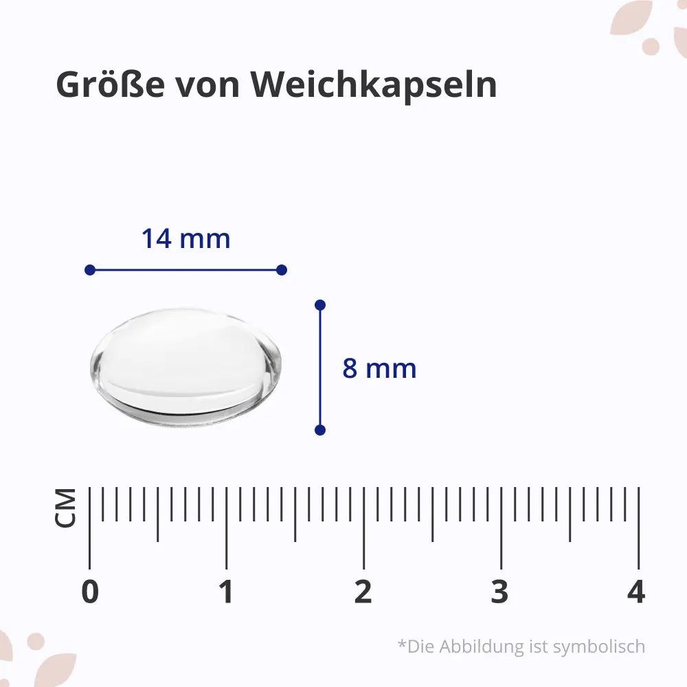 Weichkapsel mit Maßangaben: 14 mm x 8 mm. Text: Größe von Weichkapseln. Skala in cm.
