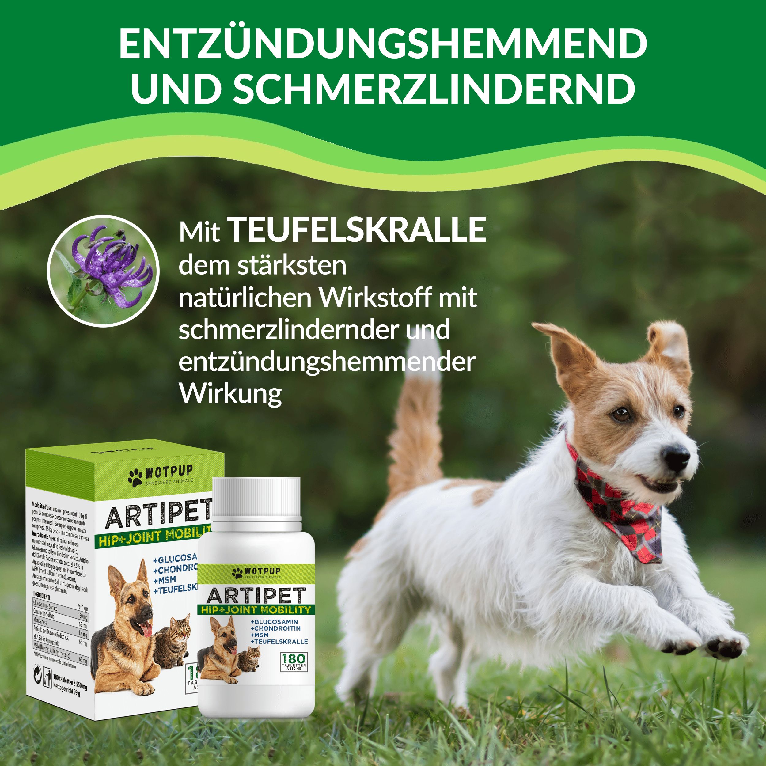 Hund rennt. Produkt-Set mit Flasche und Box. Aufschrift: Artipet. Text: Entzündungshemmend und schmerzlindernd.