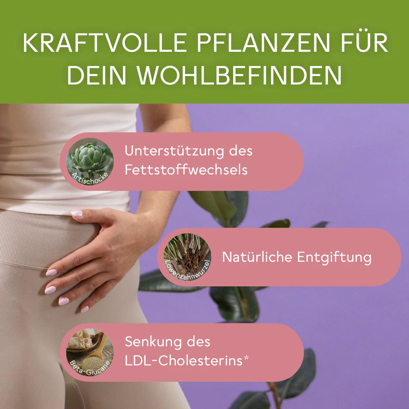 Frau hält sich den Bauch. Text: Unterstützung des Fettstoffwechsels, Natürliche Entgiftung, Senkung des LDL-Cholesterins. Pflanzenabbildungen.