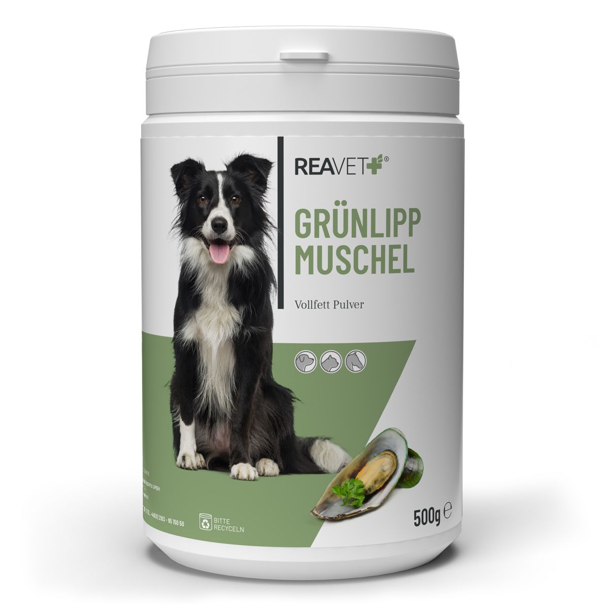 Grünlippmuschel Pulver - ReaVET