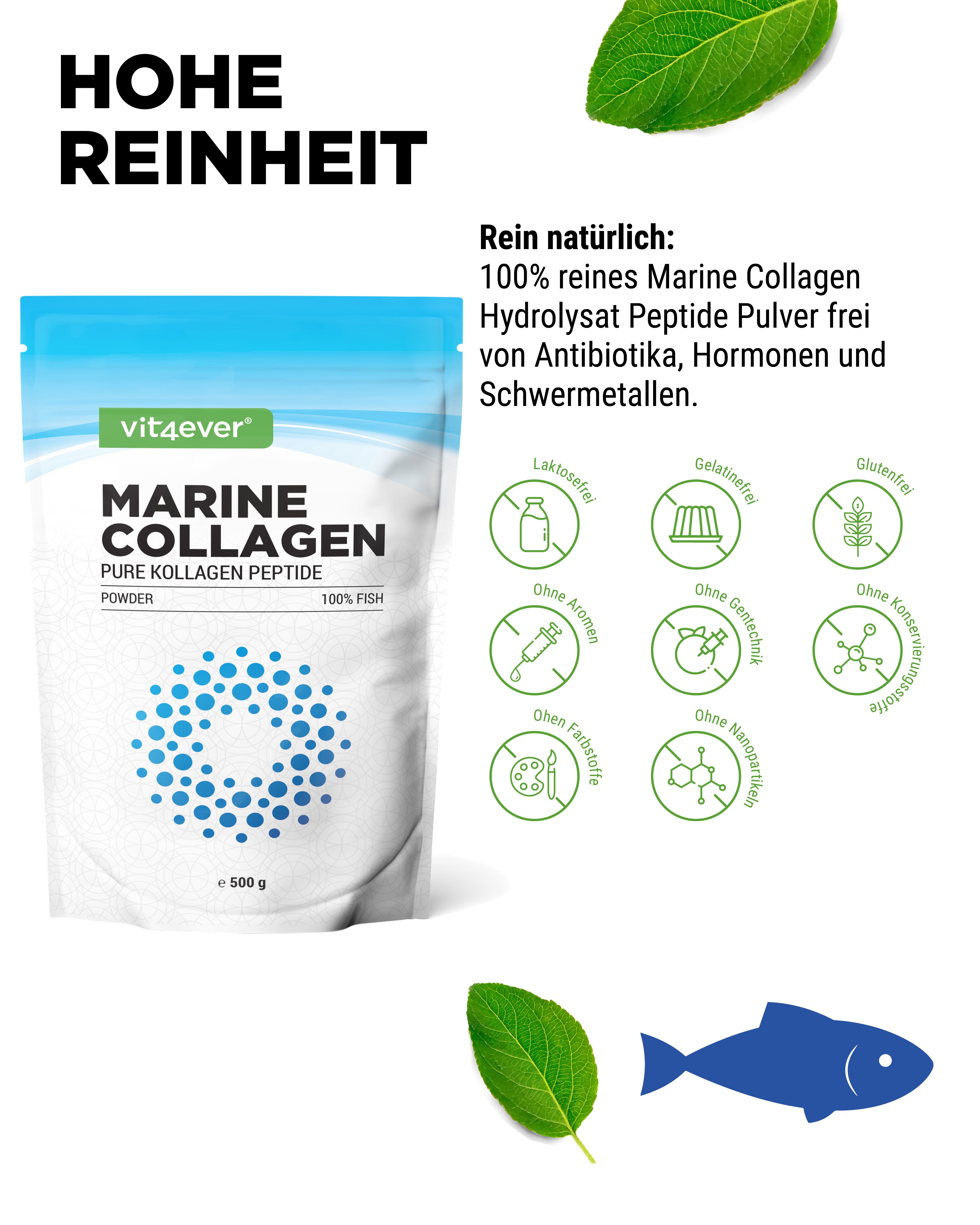 Beutel Marine Kollagen. Marke: vit4ever. Text: Hohe Reinheit. Ohne Laktose, Gluten, Aromen, Farbstoffe, Nanopartikel. 500g.
