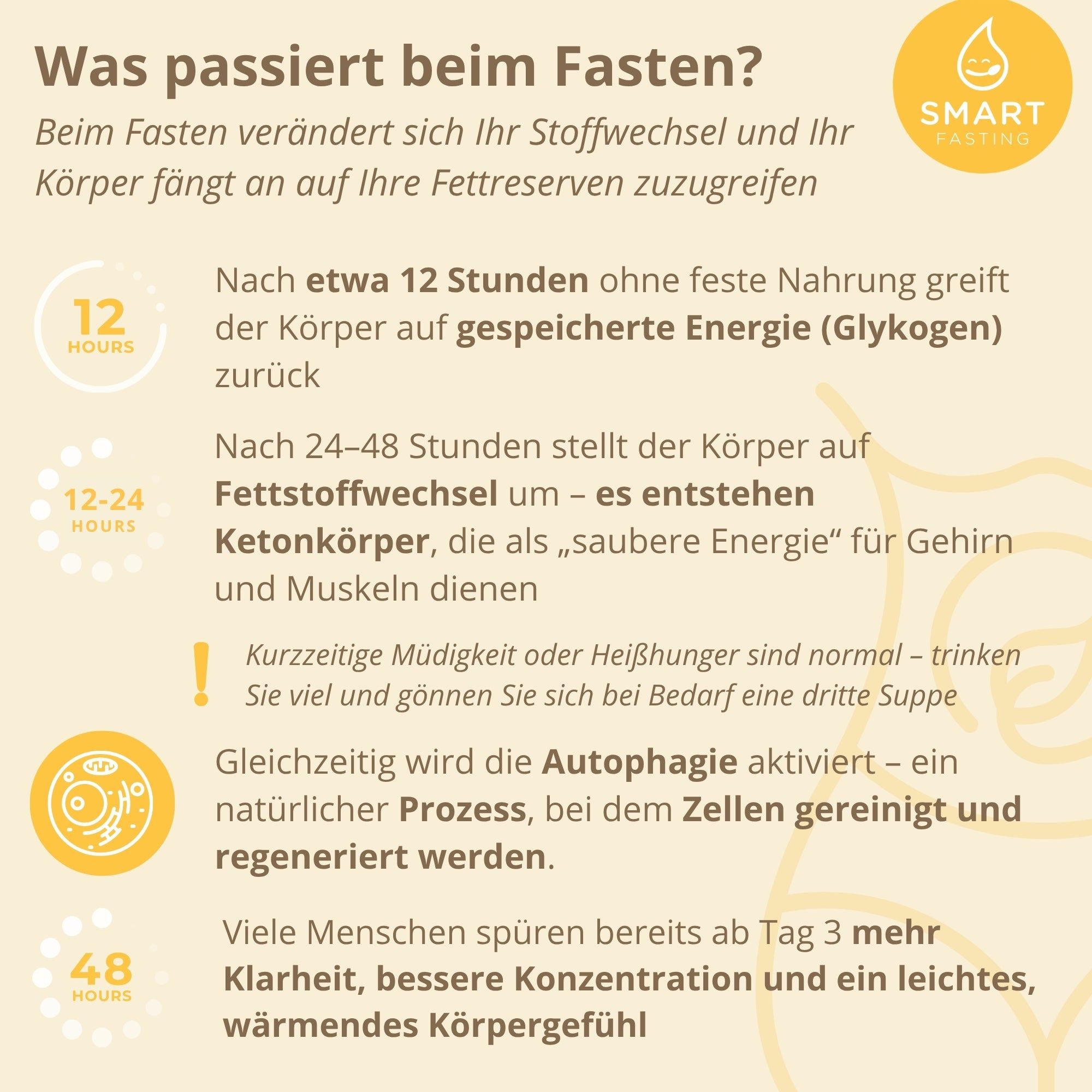 Smart Fasting® COMPLETE FIVE Fastenbox - 5 Tage - natürlich - mit Dr. Lischka, nach Buchinger