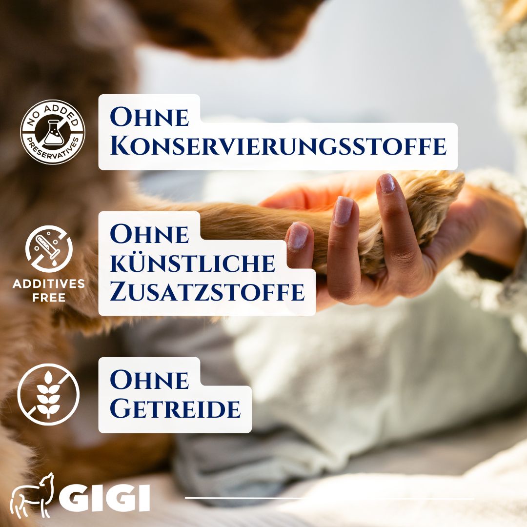 Pfote eines Hundes, Text: Ohne Konservierungsstoffe, ohne künstliche Zusatzstoffe, ohne Getreide. GIGI Logo.
