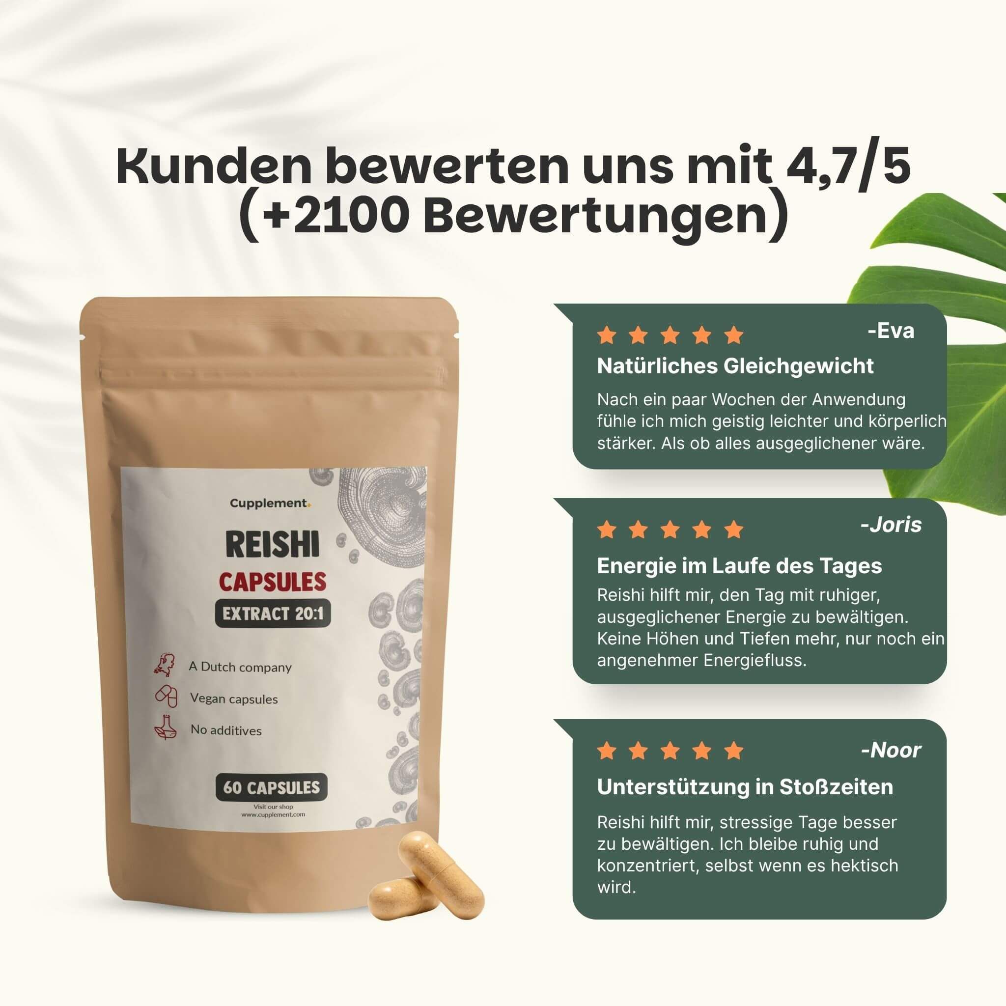 Reishi-Kapseln. Kundenbewertungen. 4,7/5 Sterne. 60 Kapseln. 3 Bewertungen.
