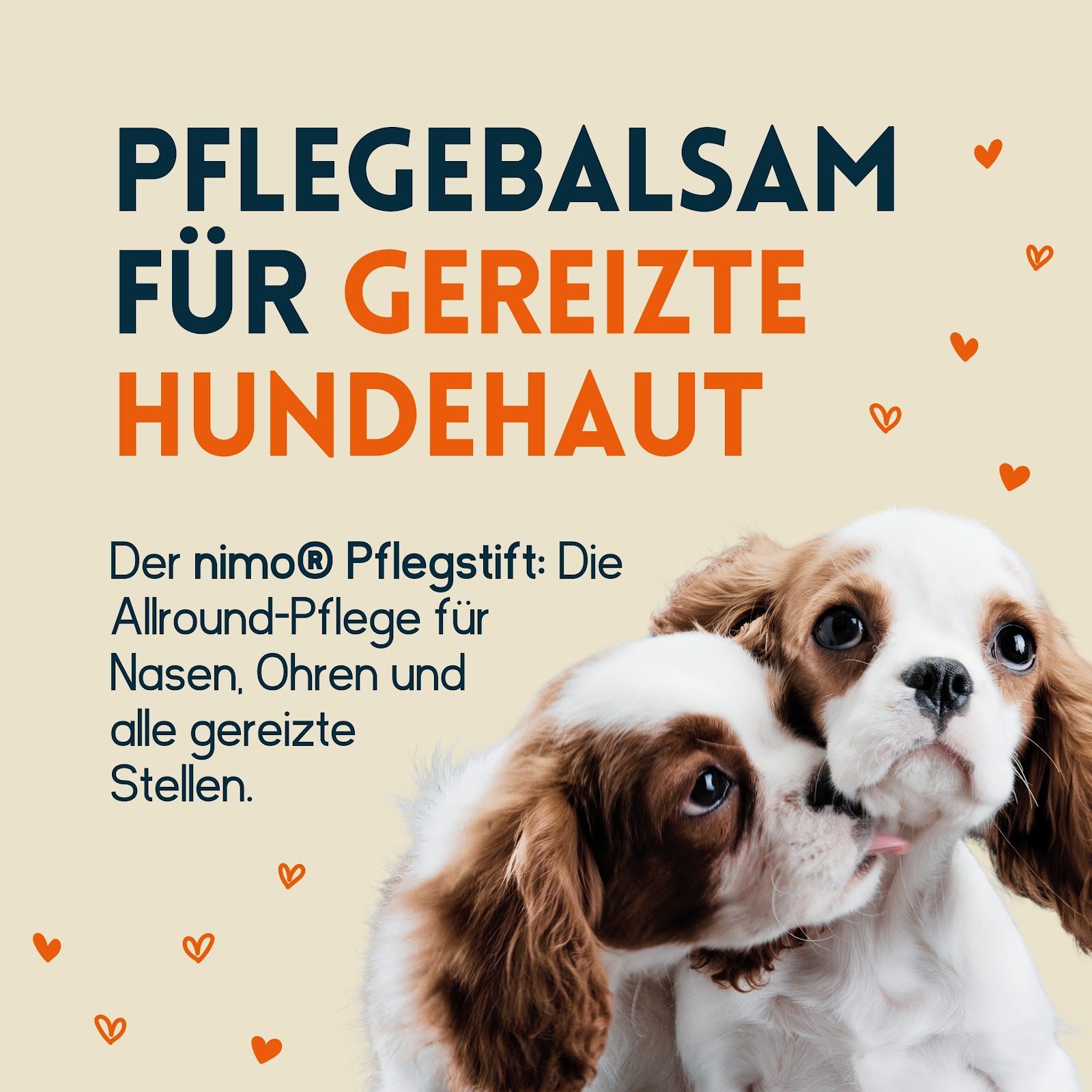 nimo Hunde Pflegestift