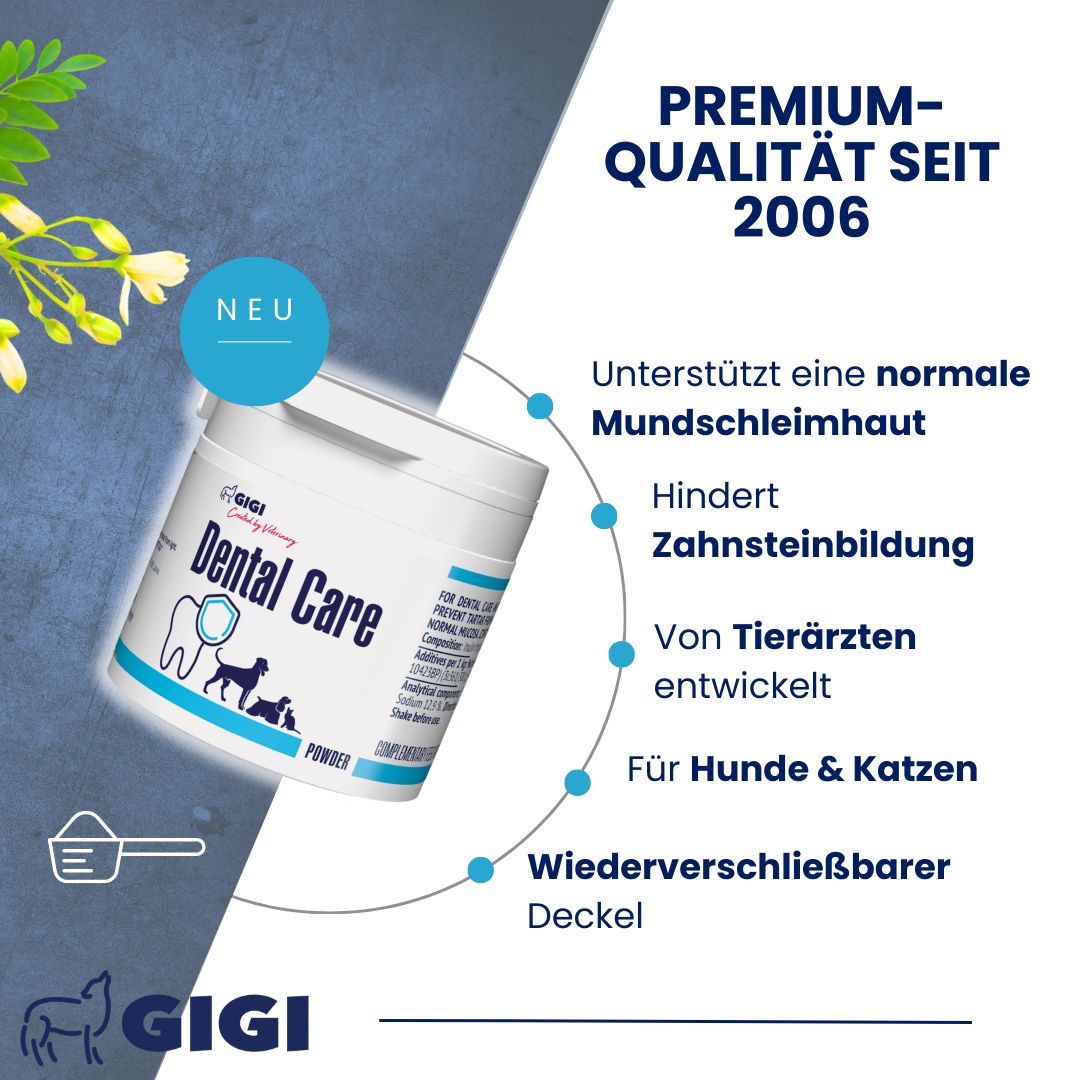 Weiße Dose GIGI Dental Care. Text: Premium-Qualität seit 2006. Unterstützt Mundschleimhaut, verhindert Zahnstein. GIGI Logo.