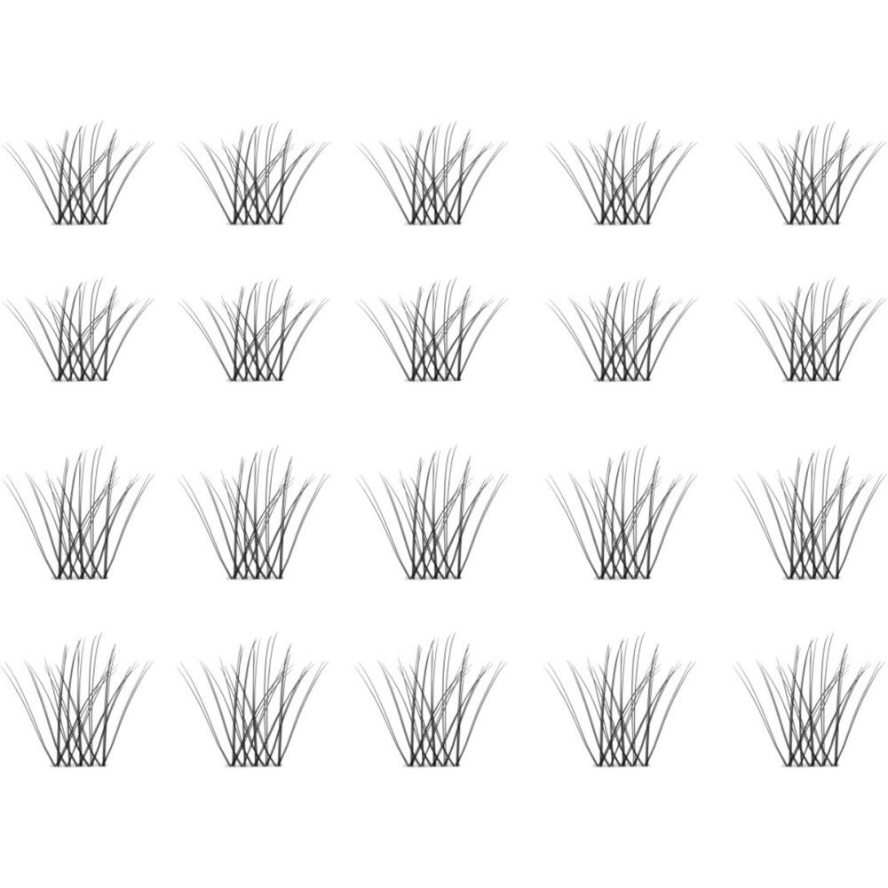 Mehrere Wimpernbüschel, angeordnet in Reihen, auf weißem Hintergrund.