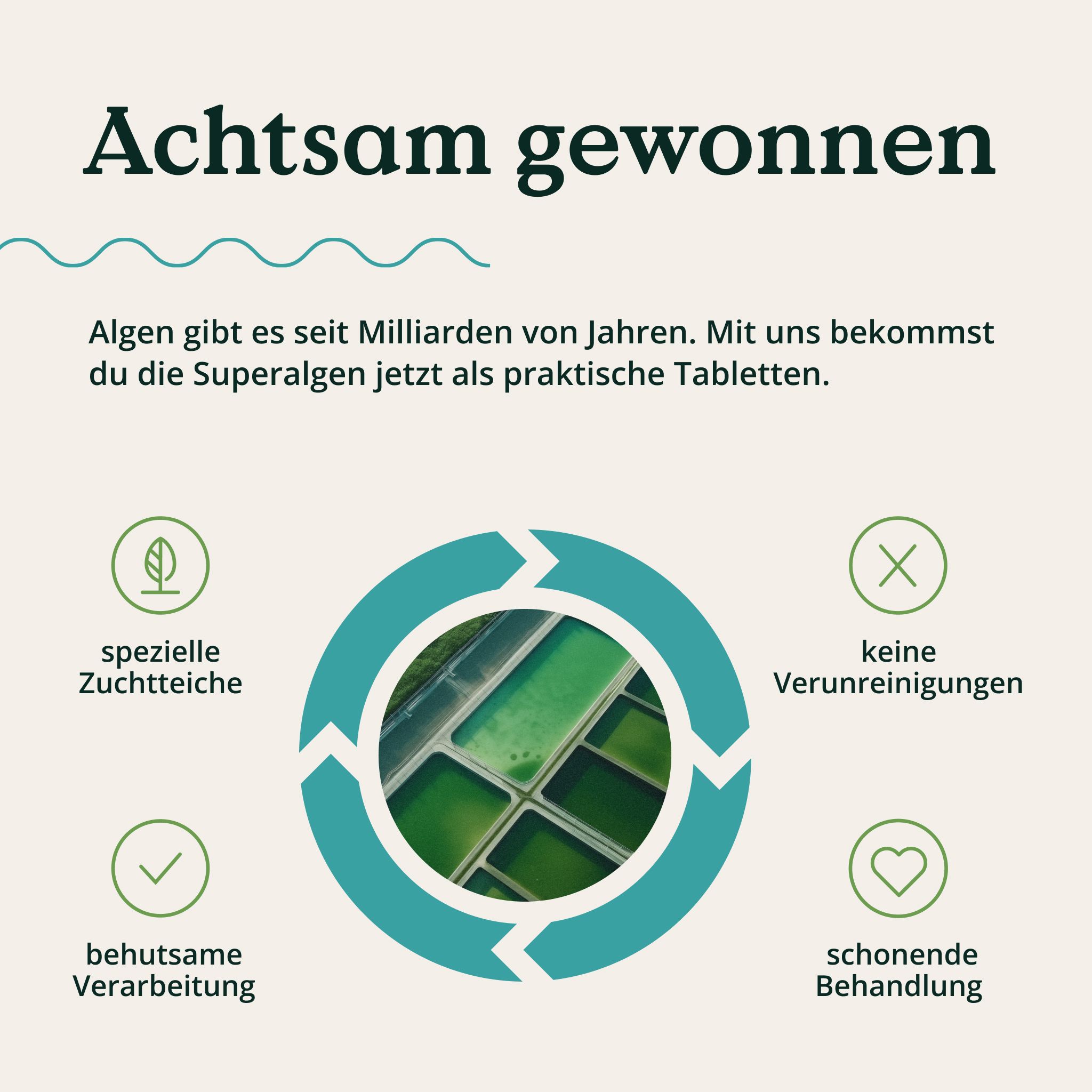 Kreislauf mit Icons: spezielle Zuchtteiche, keine Verunreinigungen, schonende Behandlung, behutsame Verarbeitung. Text: Achtsam gewonnen.