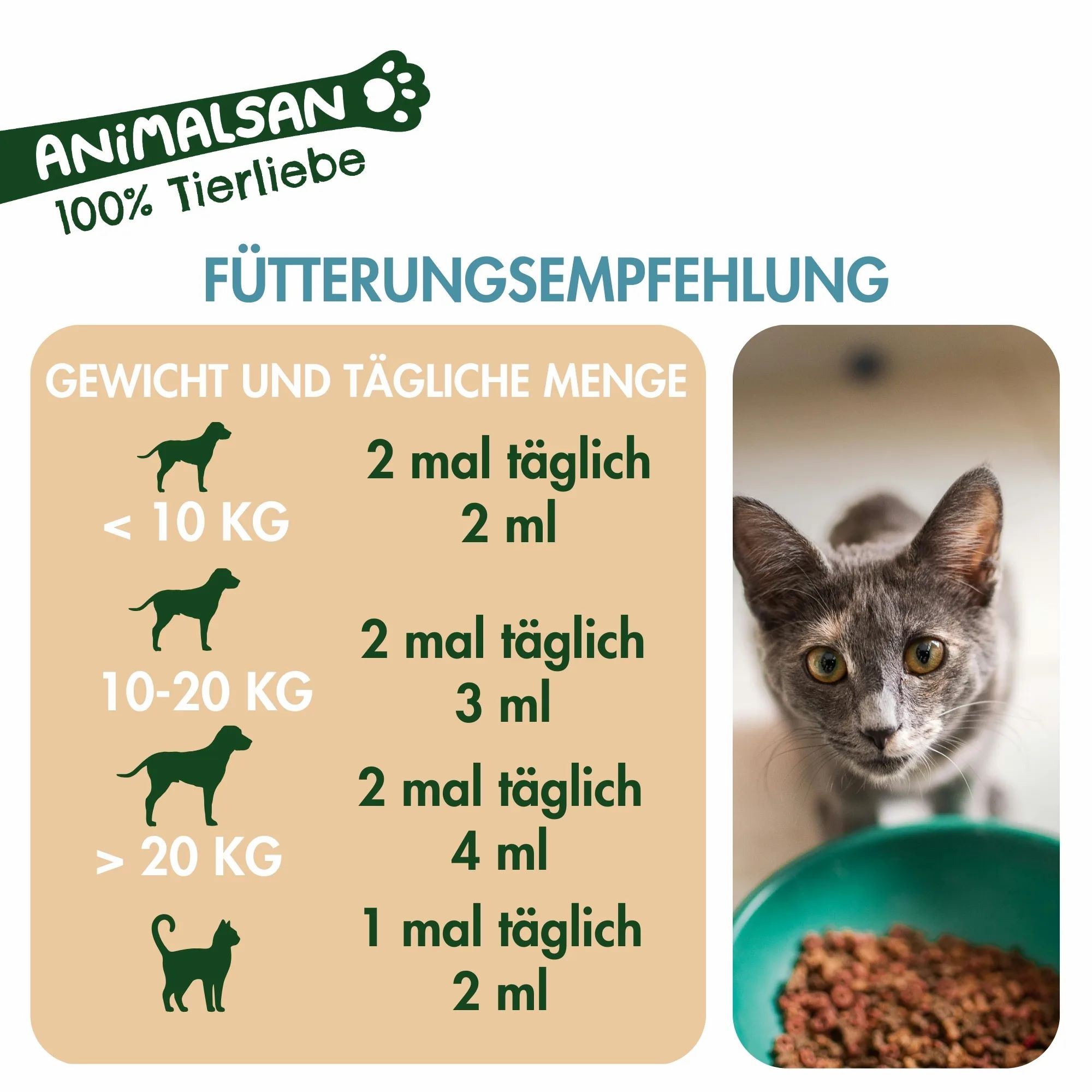Fütterungsempfehlung für Hunde und Katzen nach Gewicht. Links: Hundesilhouetten, rechts: Katze frisst Futter.