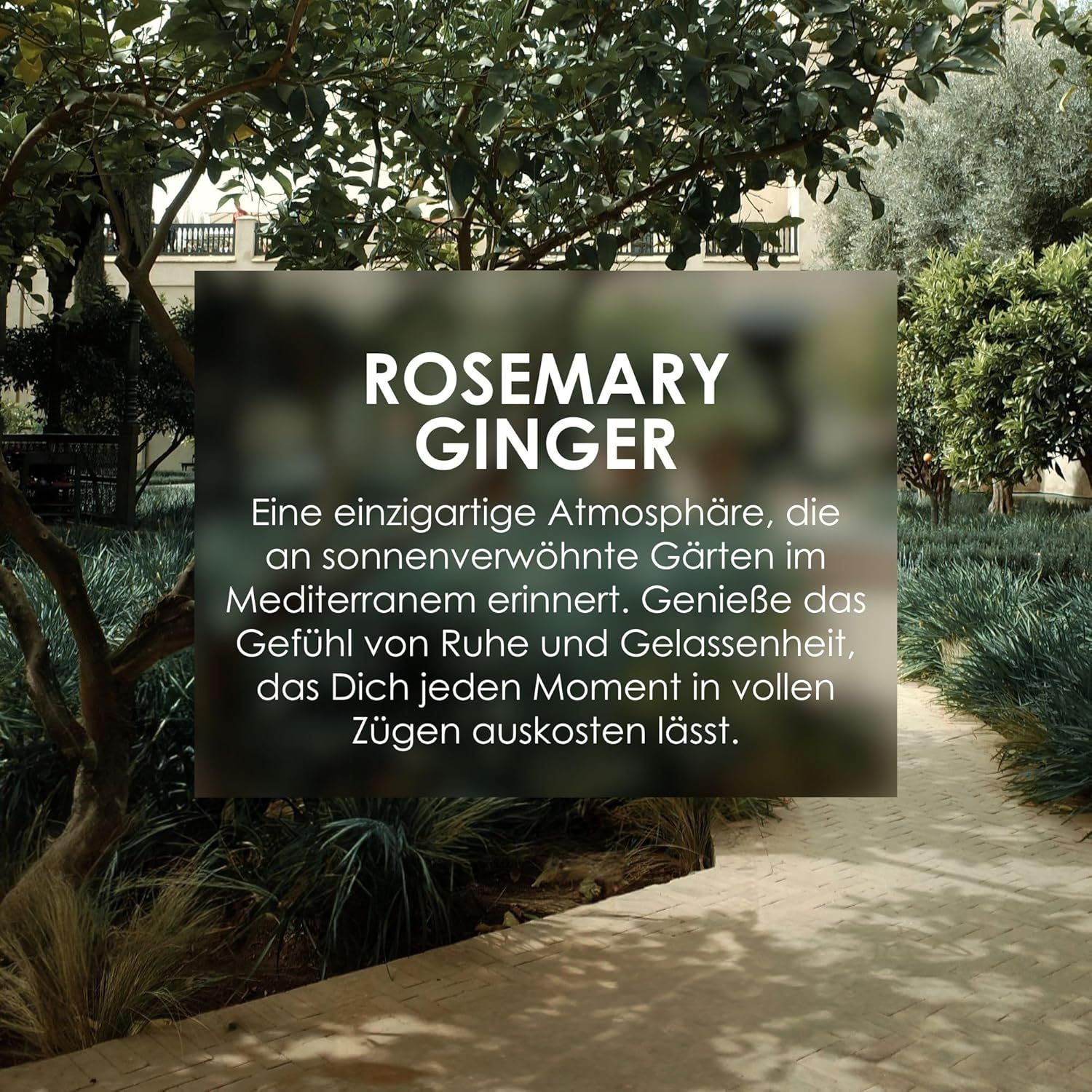 Jean & Len Hair Mask Rosemary und Ginger